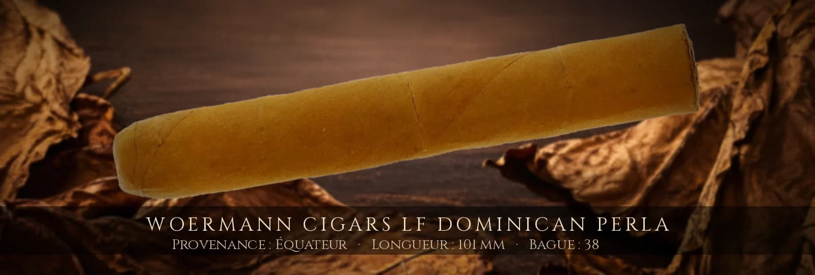 Woermann Cigars LF Dominican Perla — Woermann Cigars — Équateur