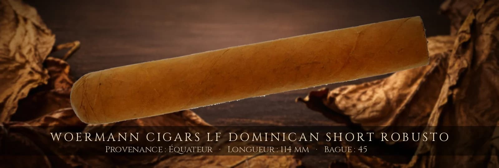 Woermann Cigars LF Dominican Short Robusto — Woermann Cigars — Équateur