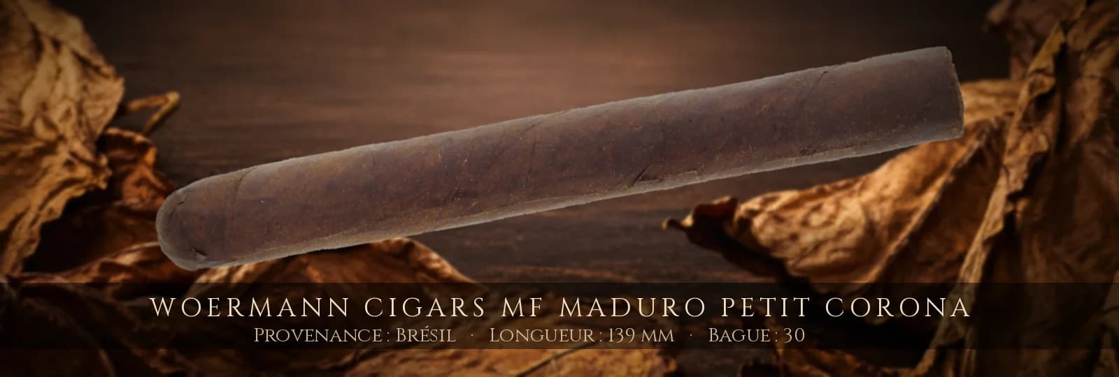 Woermann Cigars MF Maduro Petit Corona — Woermann Cigars — Brésil