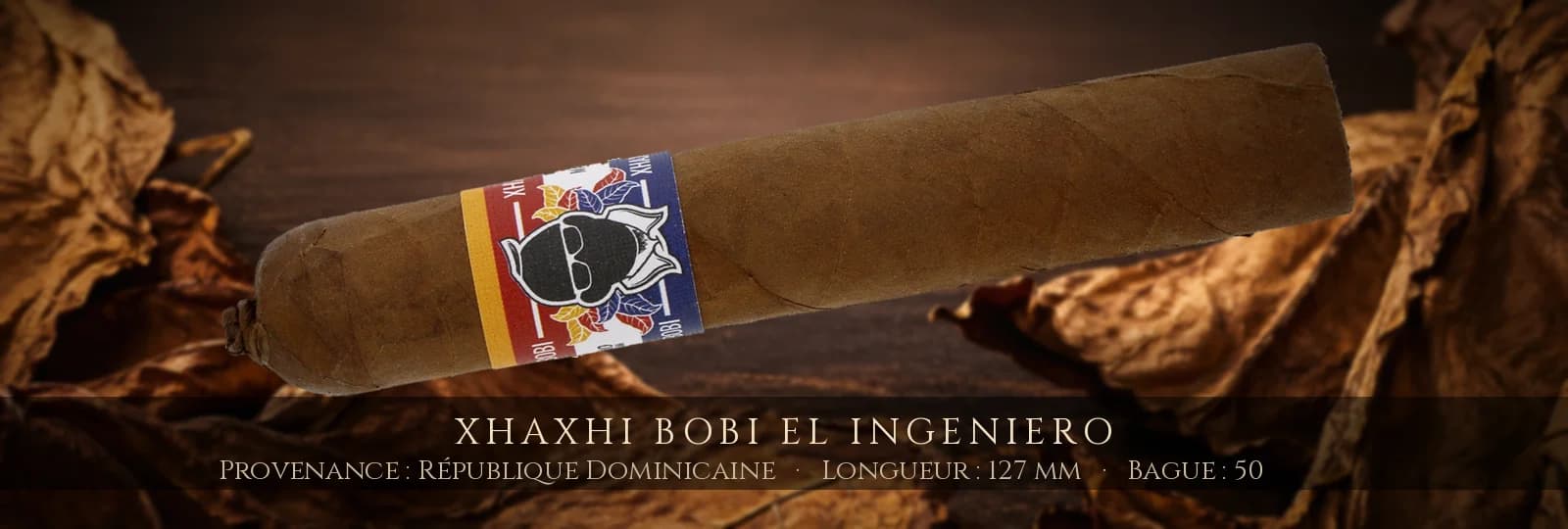 Xhaxhi Bobi El Ingeniero — Xhaxhi Bobi — République Dominicaine