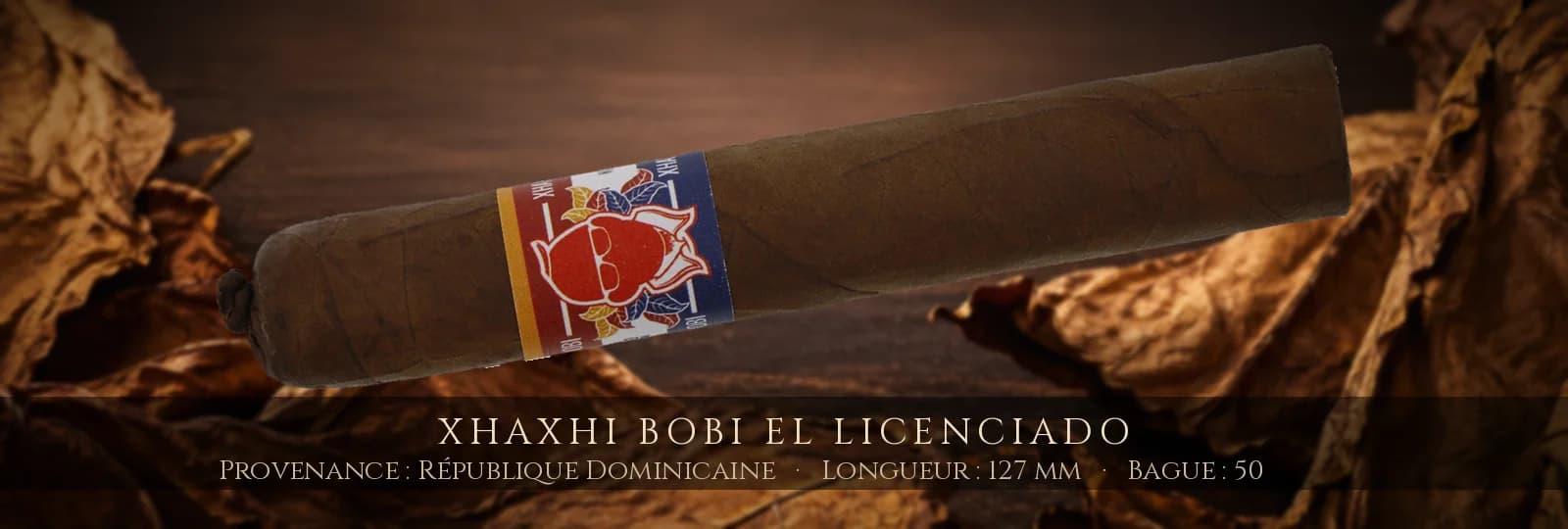 Xhaxhi Bobi El Licenciado — Xhaxhi Bobi — République Dominicaine