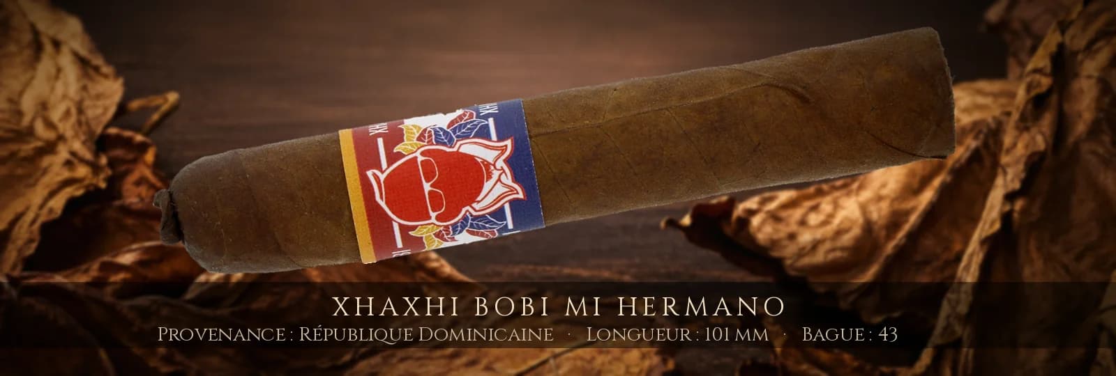 Xhaxhi Bobi Mi Hermano — Xhaxhi Bobi — République Dominicaine