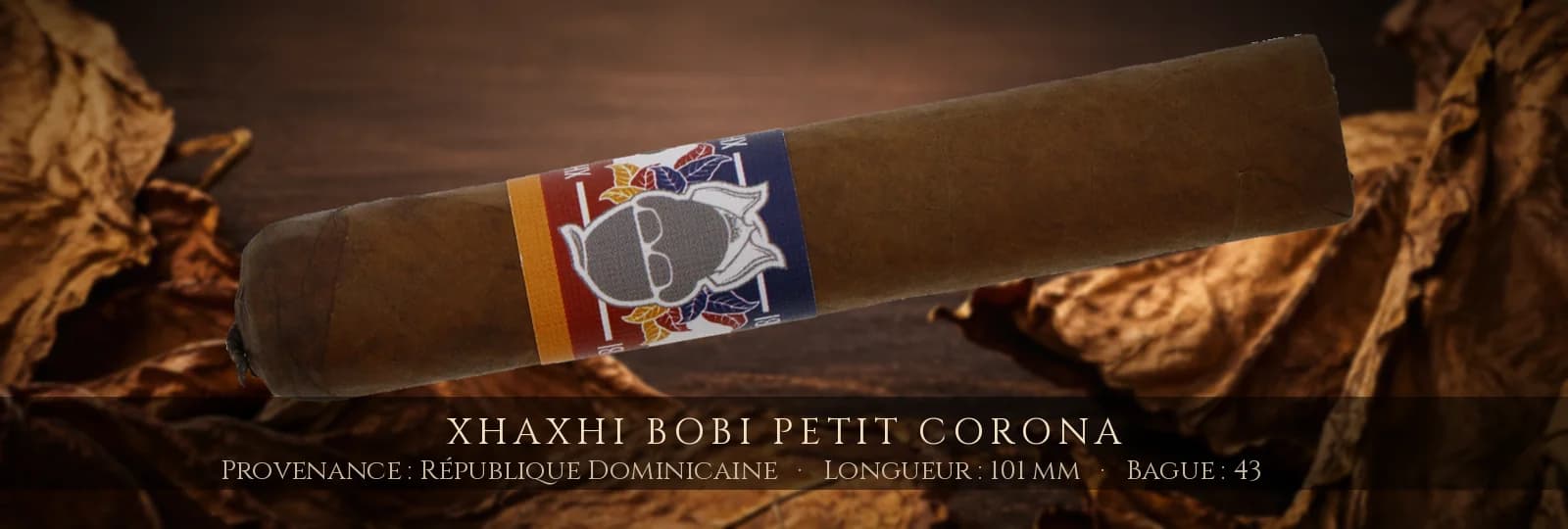 Xhaxhi Bobi Petit Corona — Xhaxhi Bobi — République Dominicaine