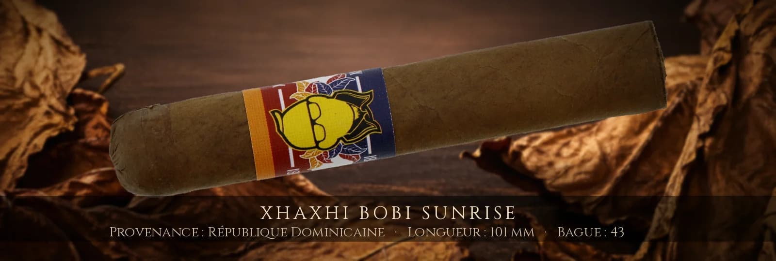 Xhaxhi Bobi Sunrise — Xhaxhi Bobi — République Dominicaine