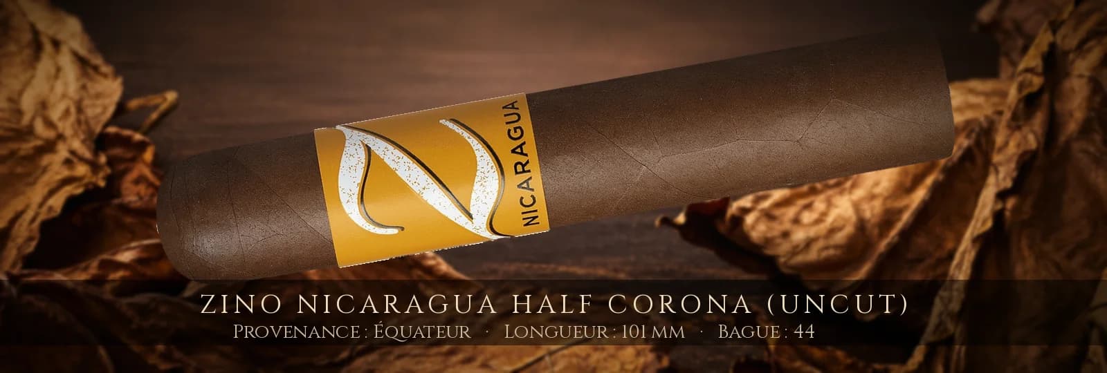 Zino Nicaragua Half Corona (uncut) — Zino — Équateur