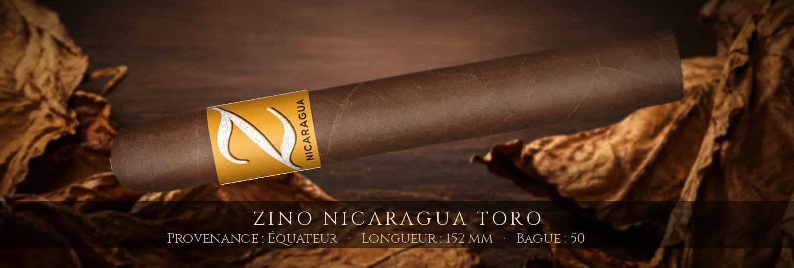 Zino Nicaragua Toro — Zino — Équateur