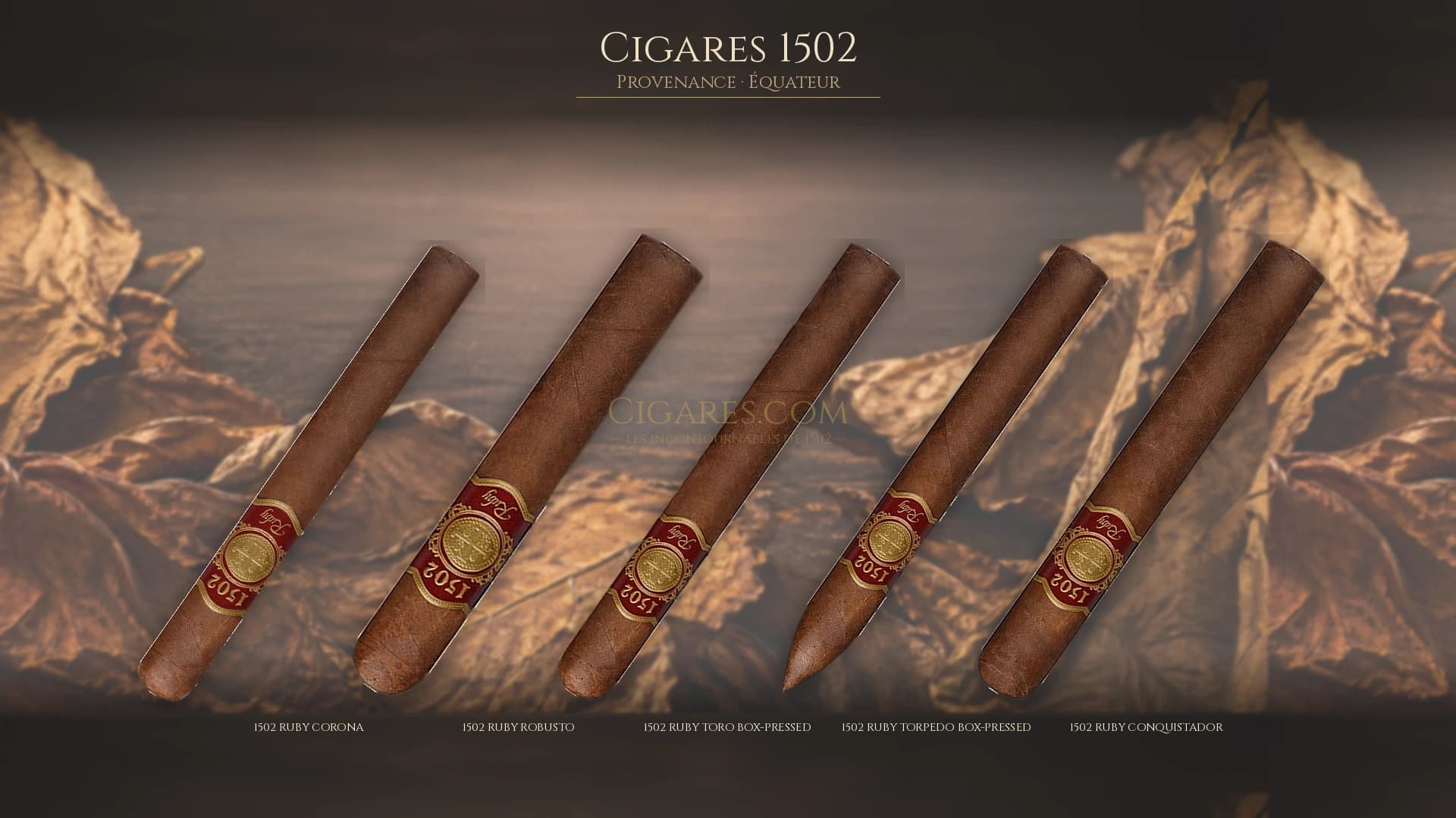 Top cigares 1502 Equateur — les plus populaires