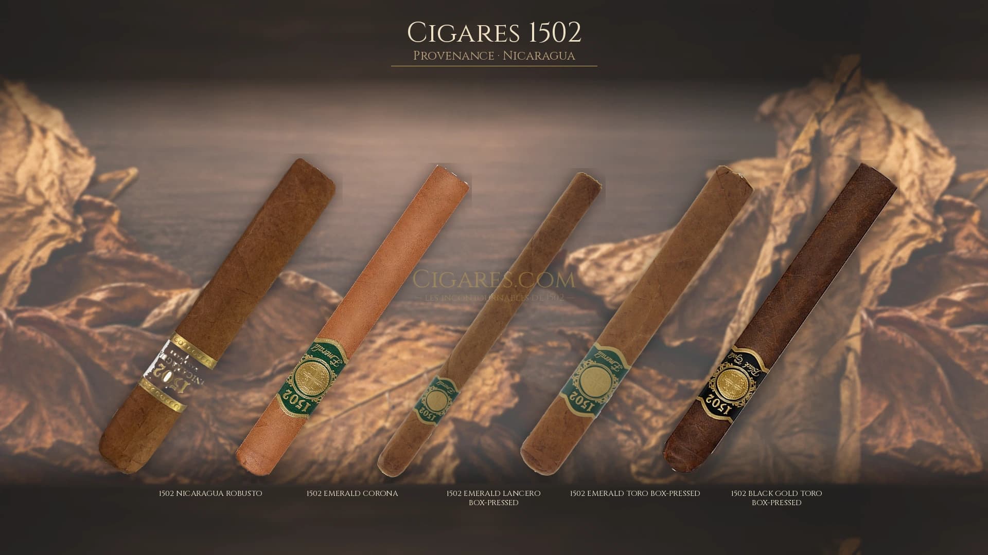 Top cigares 1502 Nicaragua — les plus populaires