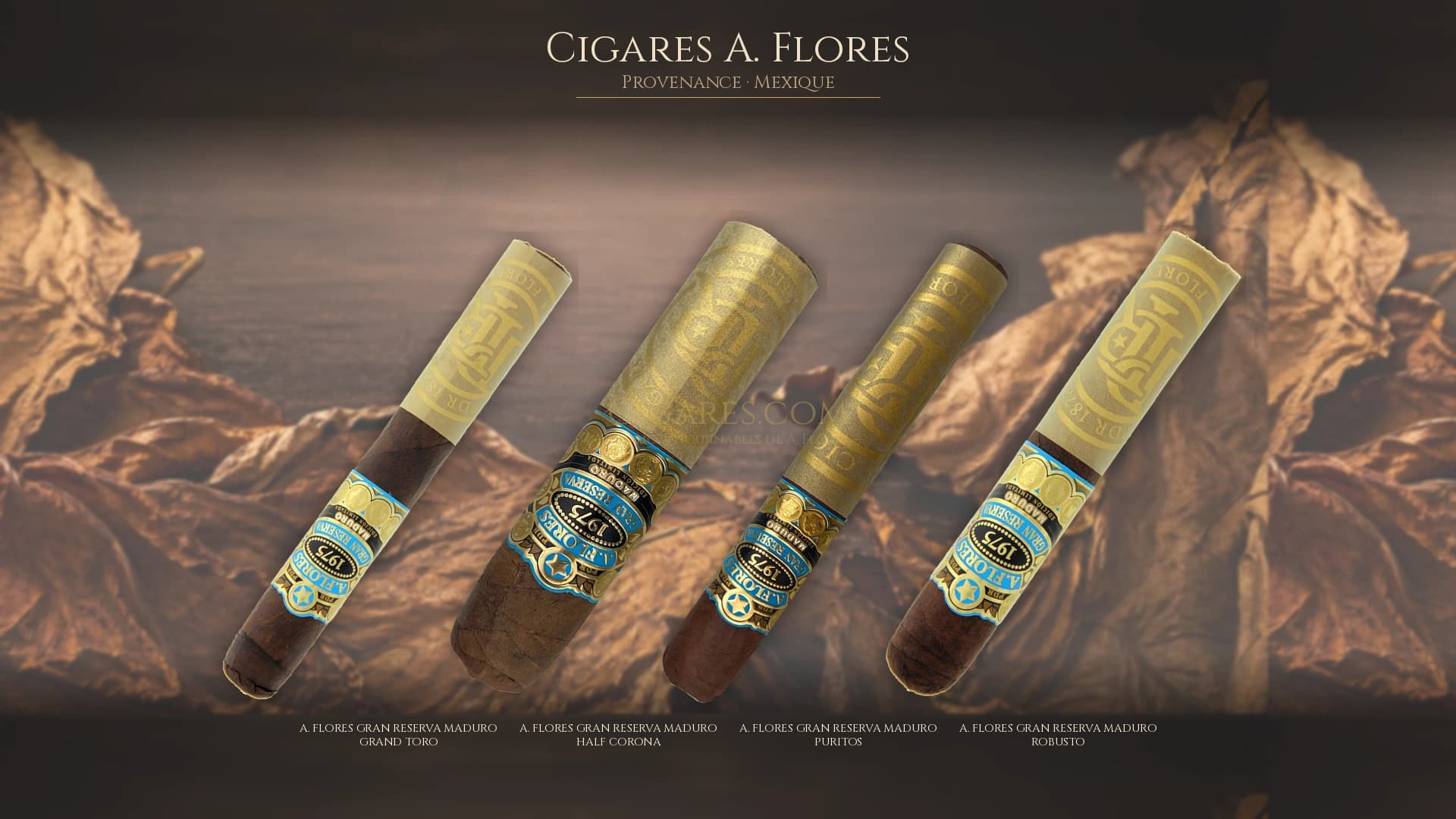 Top cigares A. Flores Mexique — les plus populaires