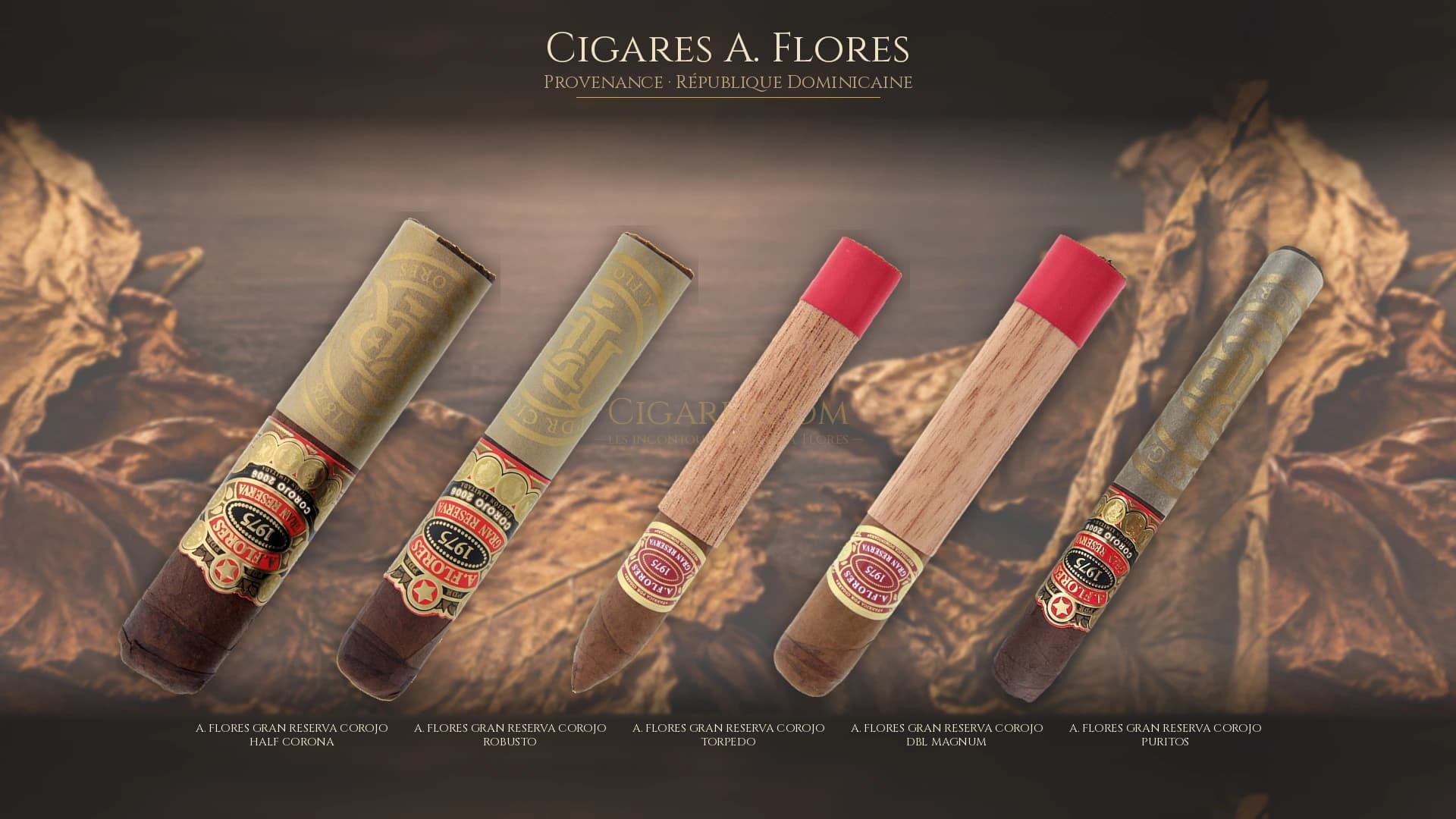 Top cigares A. Flores Republique Dominicaine — les plus populaires