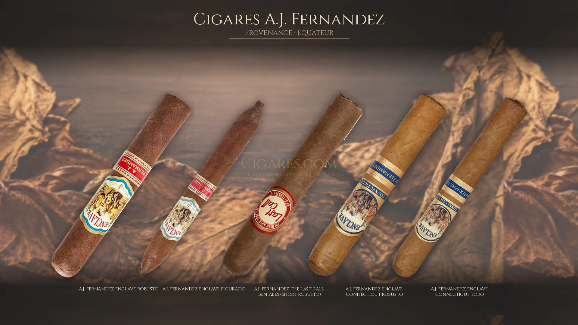 Top cigares A.J. Fernandez Equateur — les plus populaires
