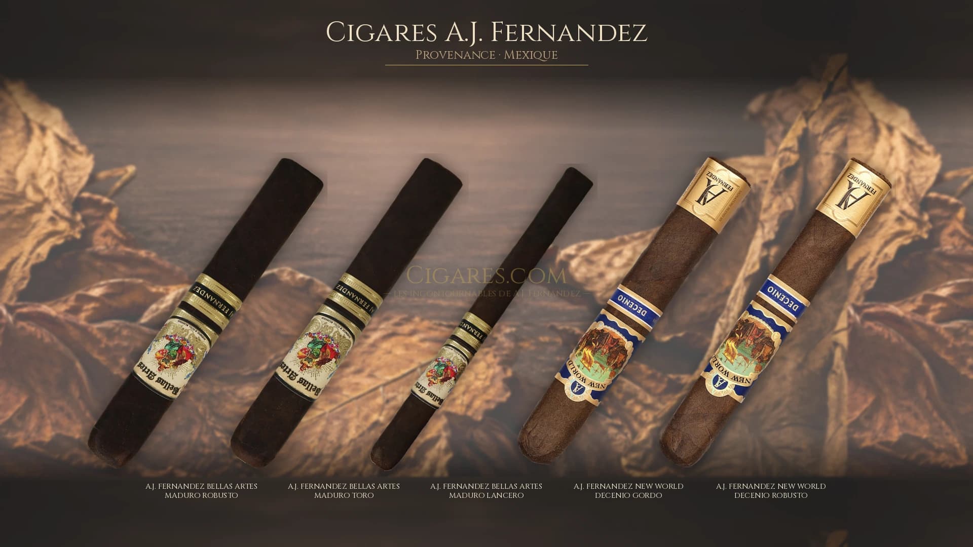 Top cigares A.J. Fernandez Mexique — les plus populaires