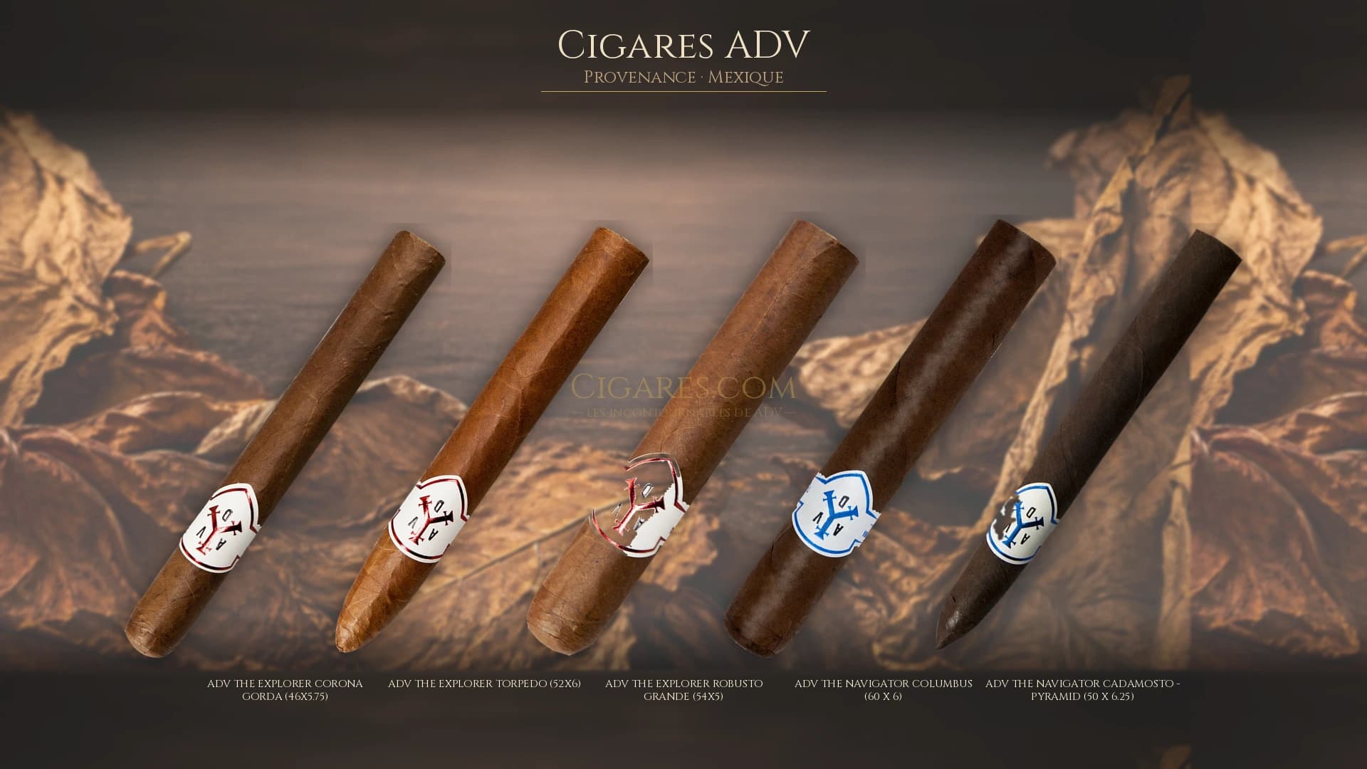Top cigares ADV Mexique — les plus populaires