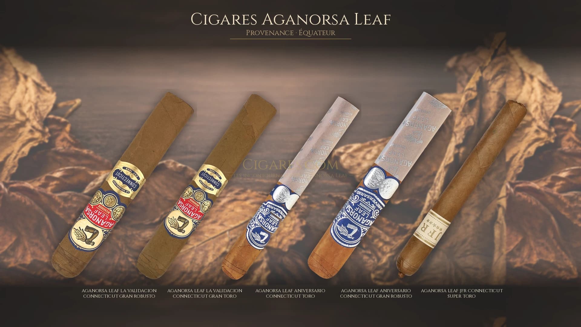 Top cigares Aganorsa Leaf Equateur — les plus populaires