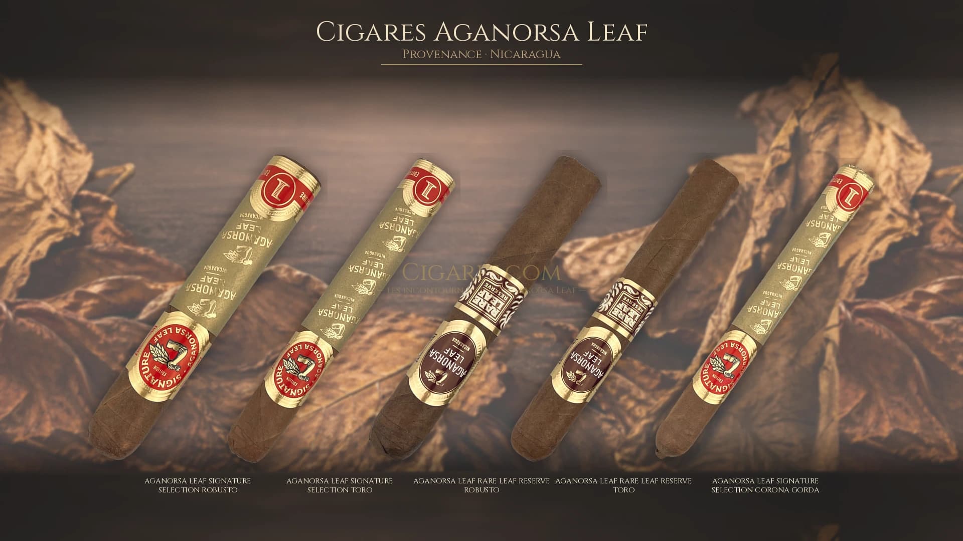 Top cigares Aganorsa Leaf Nicaragua — les plus populaires
