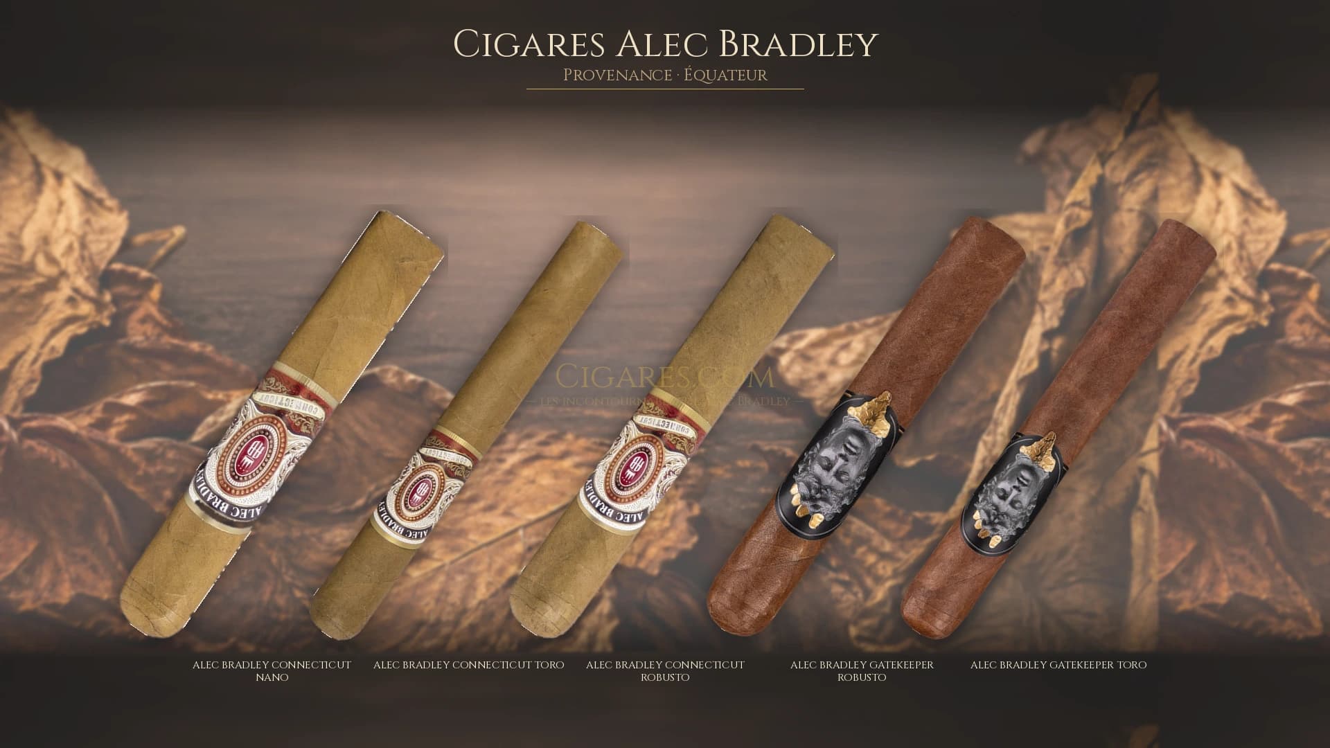 Top cigares Alec Bradley Equateur — les plus populaires