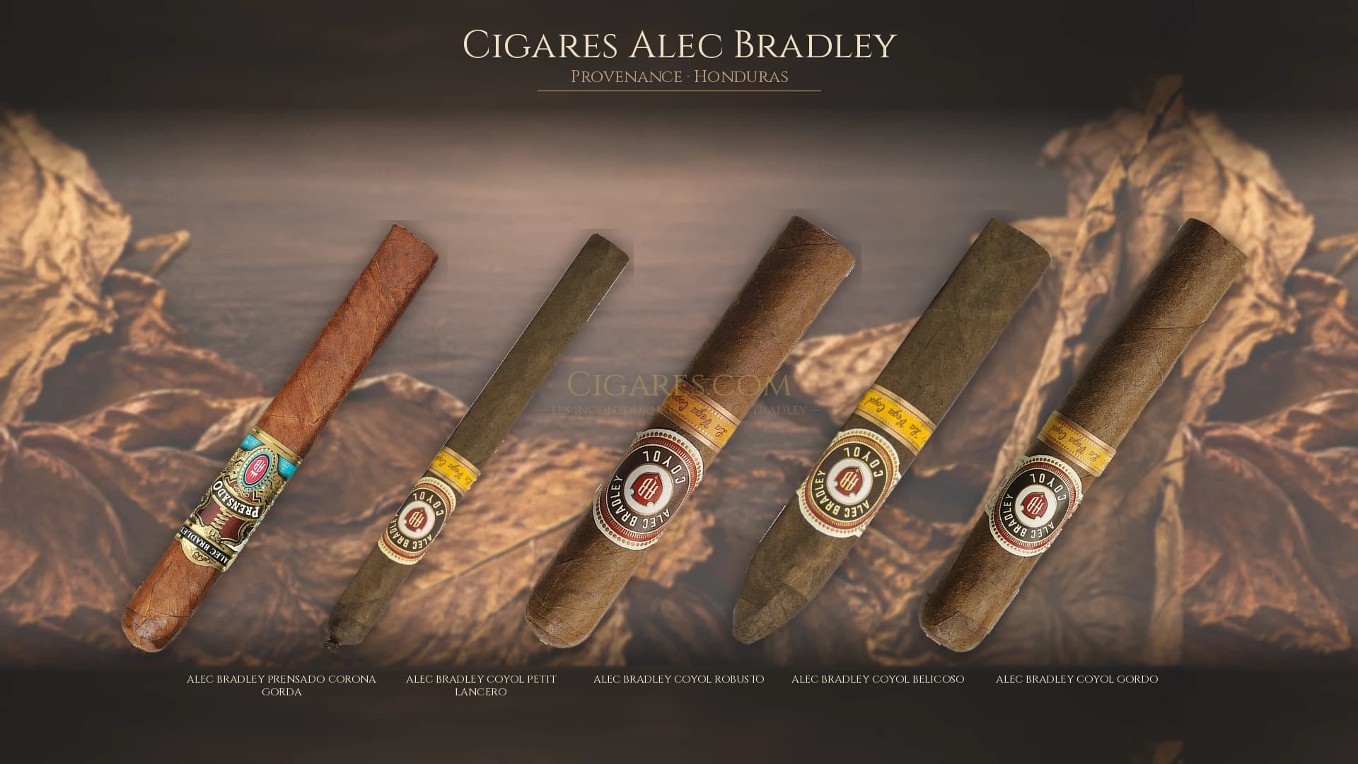 Top cigares Alec Bradley Honduras — les plus populaires