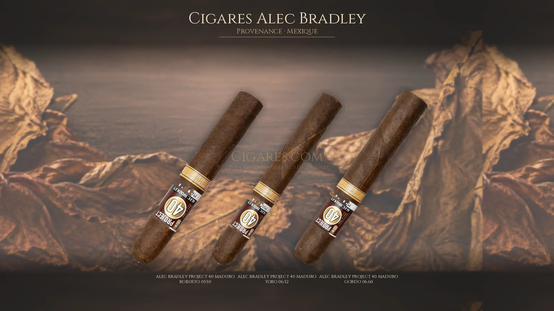 Top cigares Alec Bradley Mexique — les plus populaires