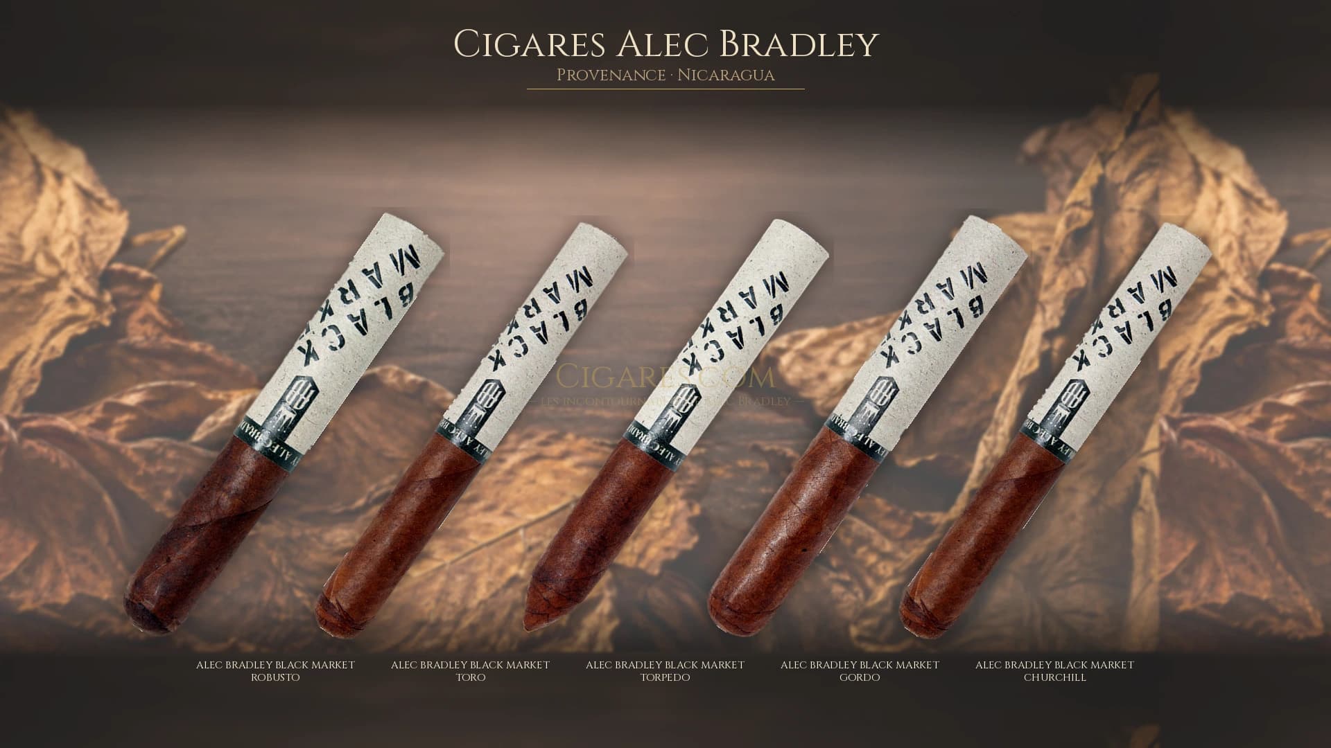 Top cigares Alec Bradley Nicaragua — les plus populaires