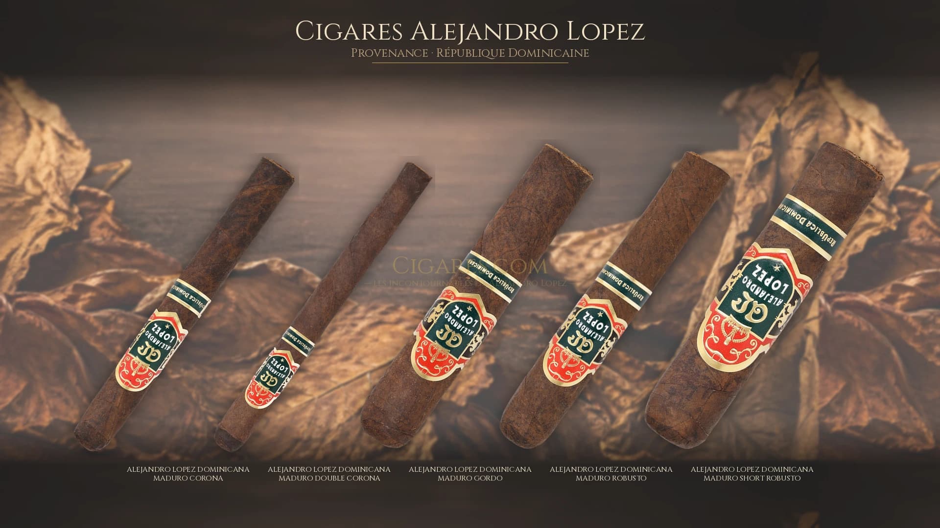 Top cigares Alejandro Lopez Republique Dominicaine — les plus populaires