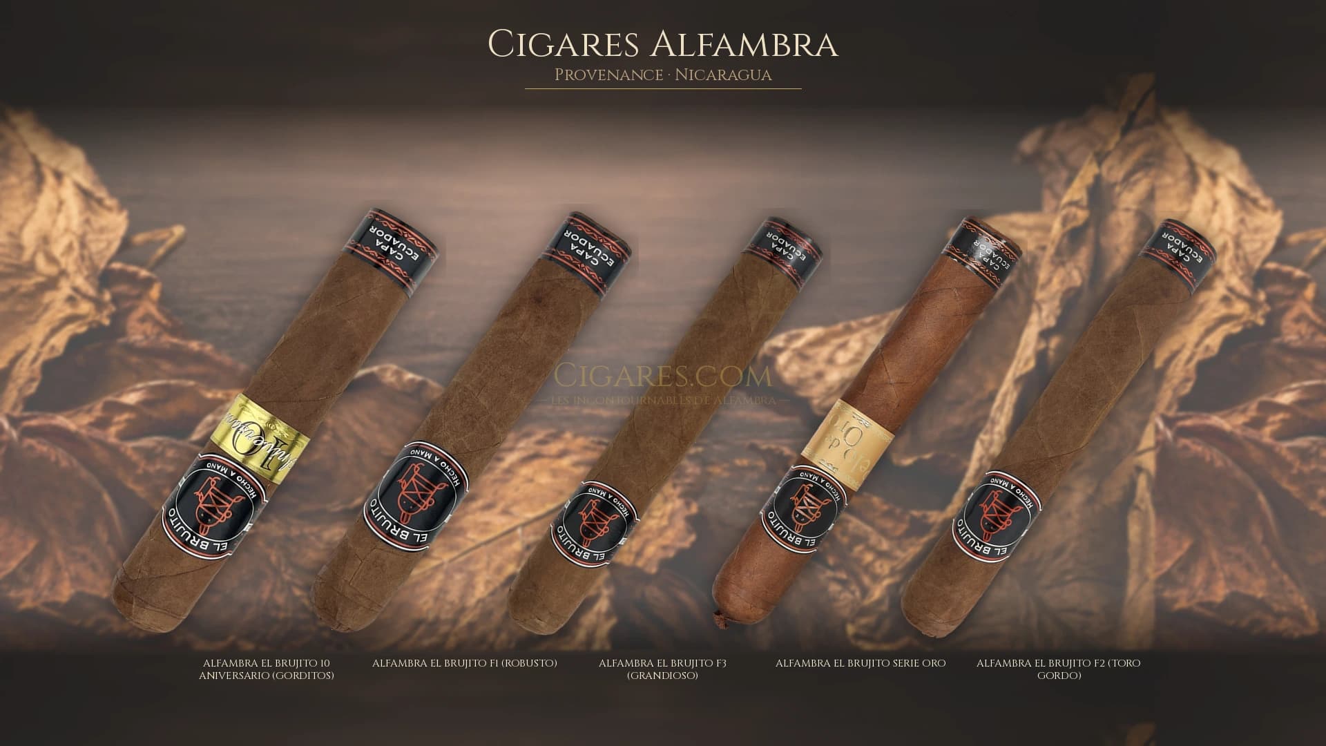 Top cigares Alfambra Nicaragua — les plus populaires