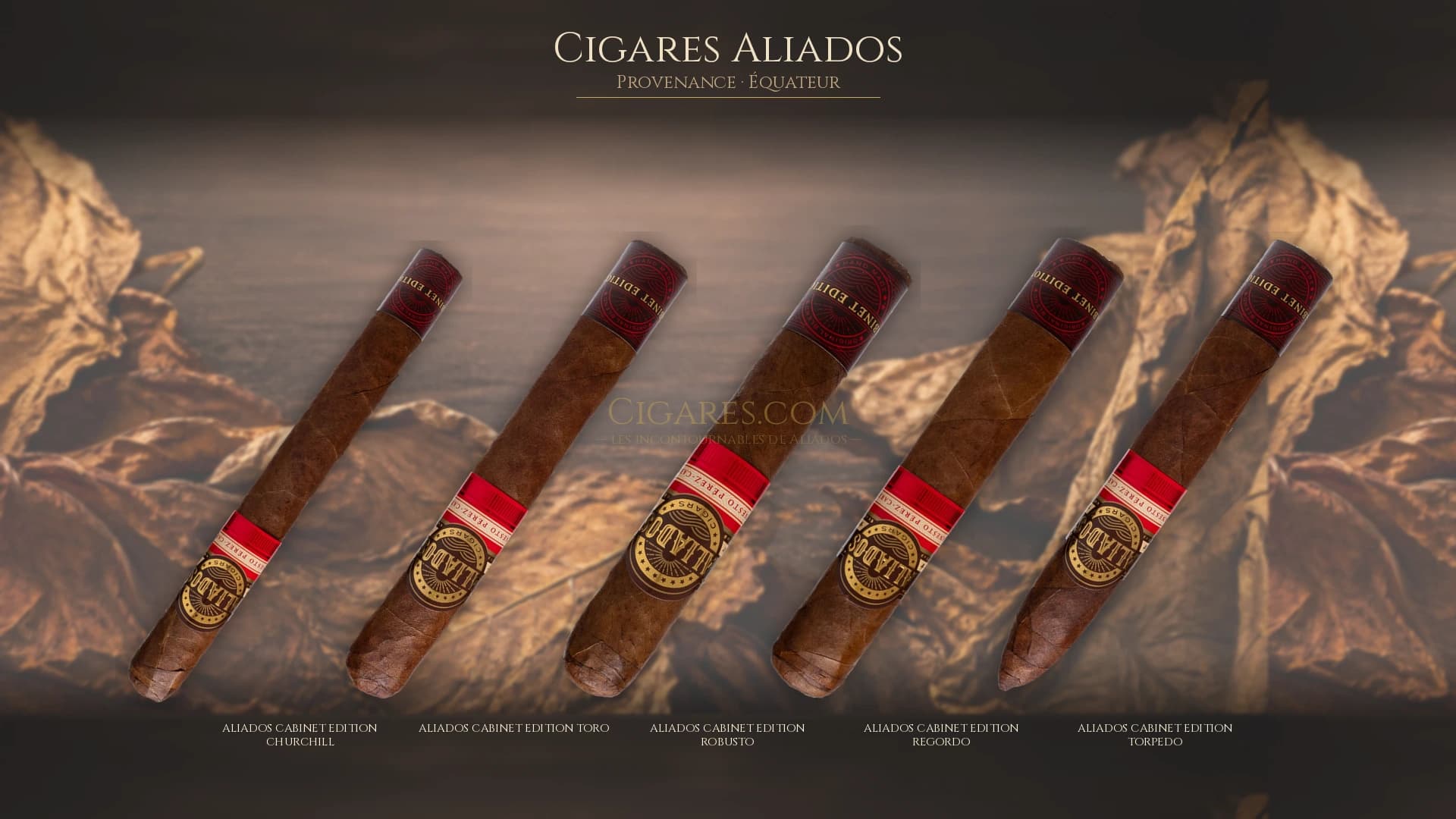 Top cigares Aliados Equateur — les plus populaires
