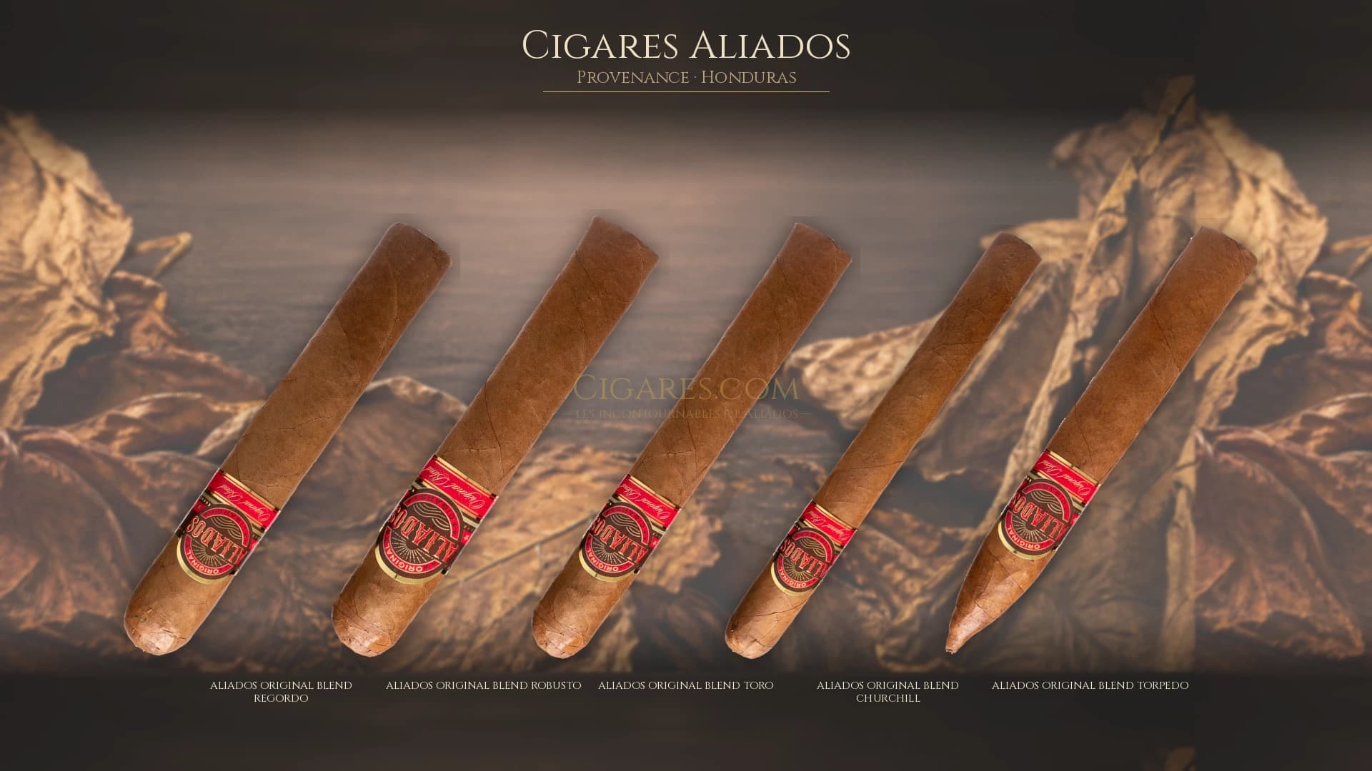 Top cigares Aliados Honduras — les plus populaires