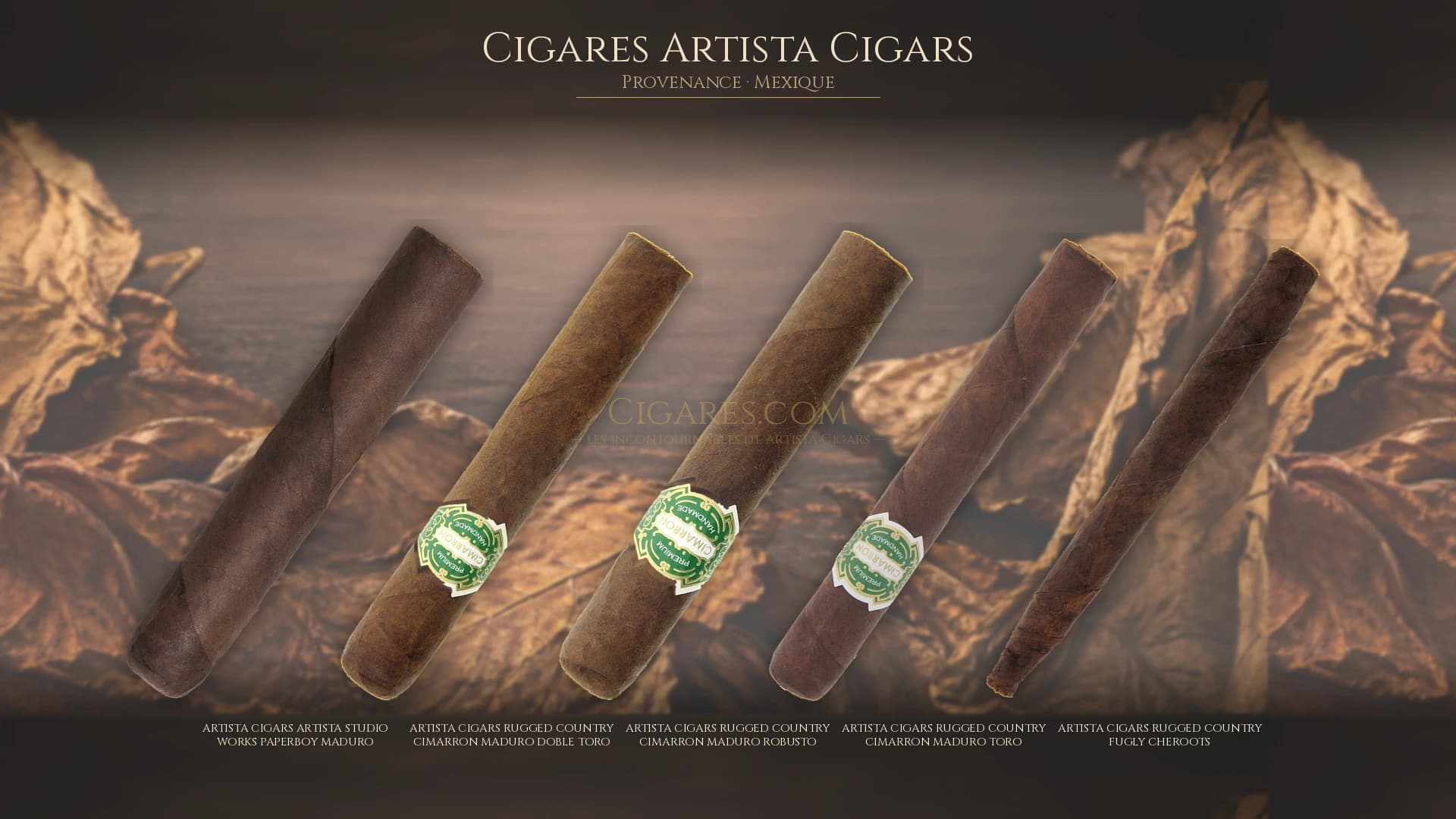 Top cigares Artista Cigars Mexique — les plus populaires