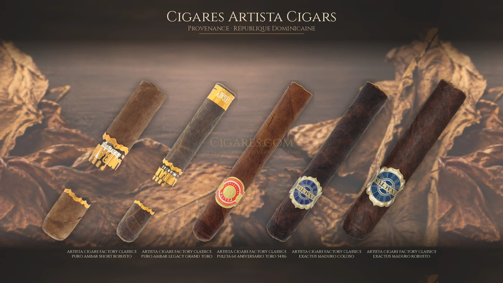 Top cigares Artista Cigars Republique Dominicaine — les plus populaires