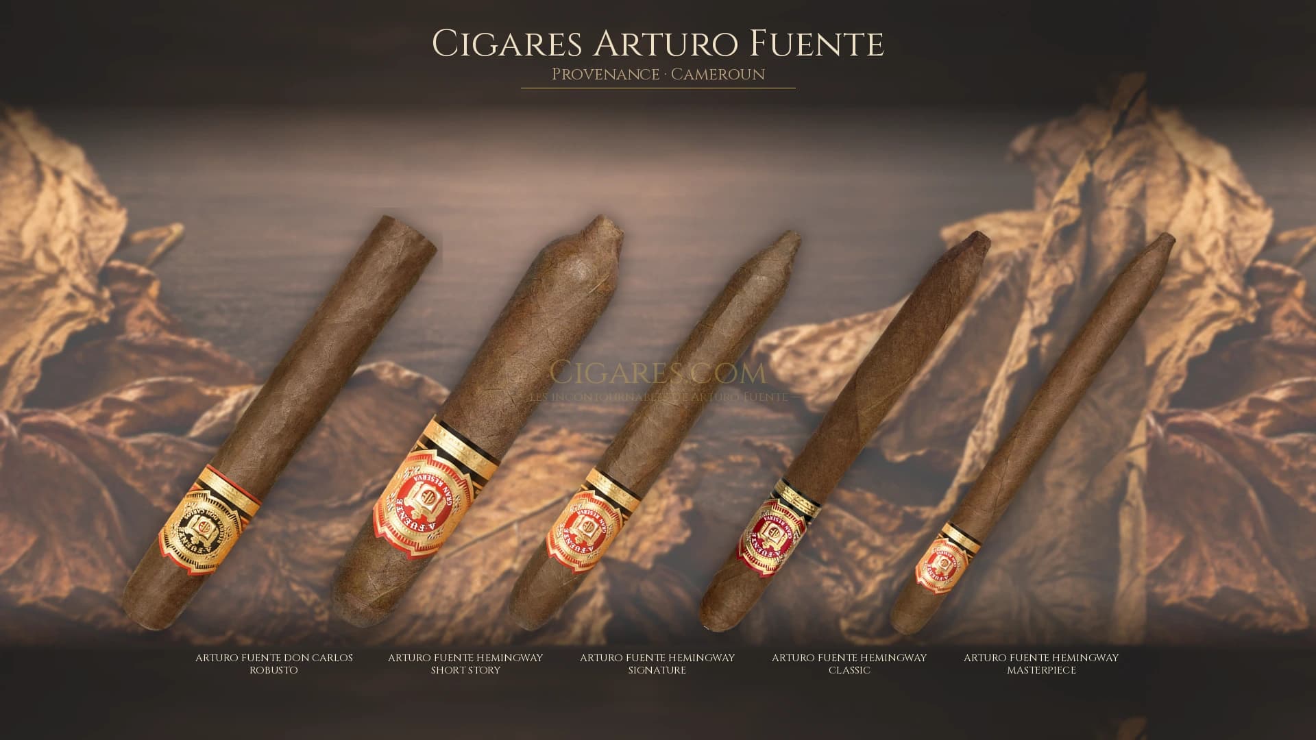 Top cigares Arturo Fuente Cameroun — les plus populaires