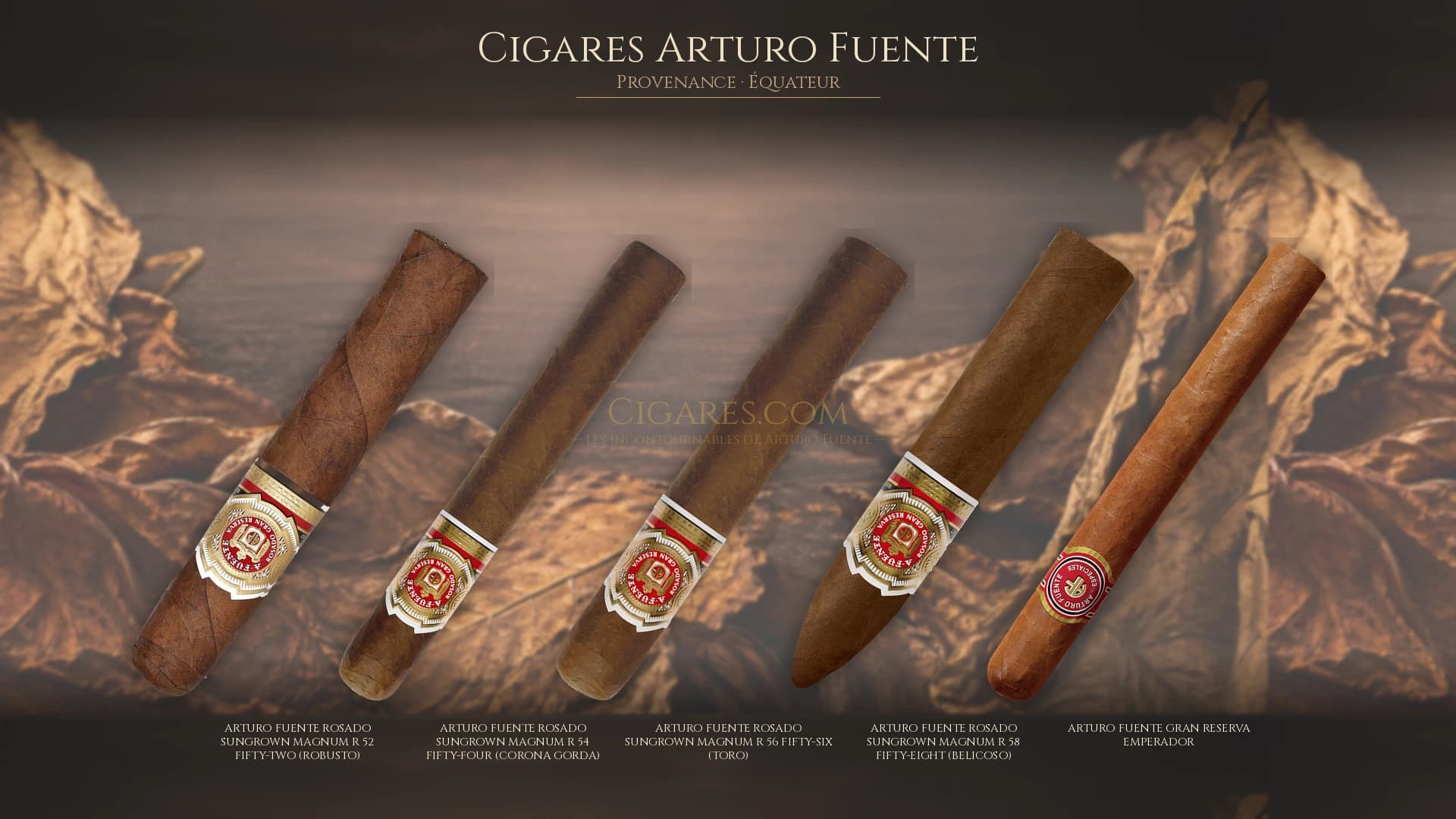 Top cigares Arturo Fuente Equateur — les plus populaires