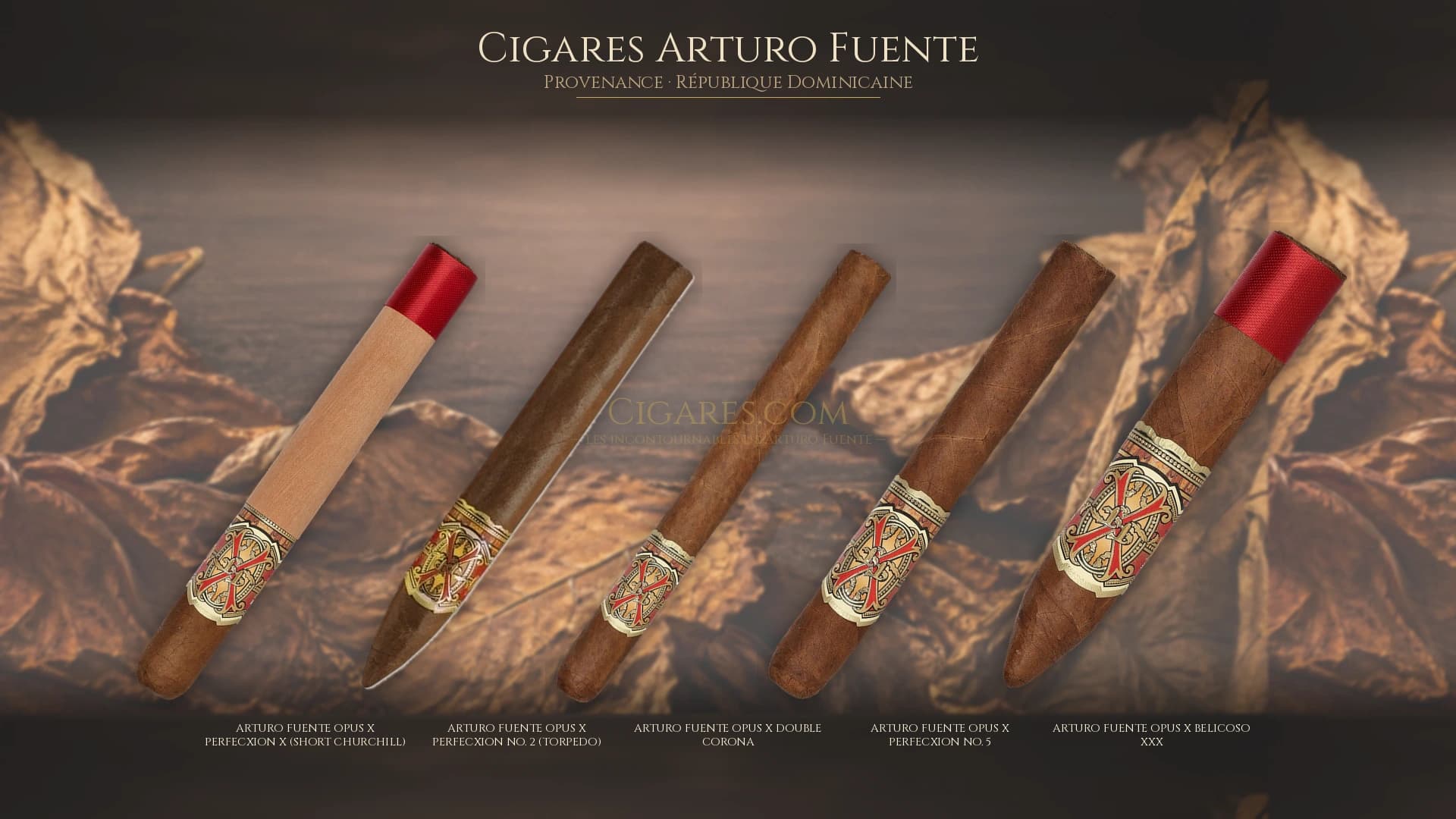 Top cigares Arturo Fuente Republique Dominicaine — les plus populaires