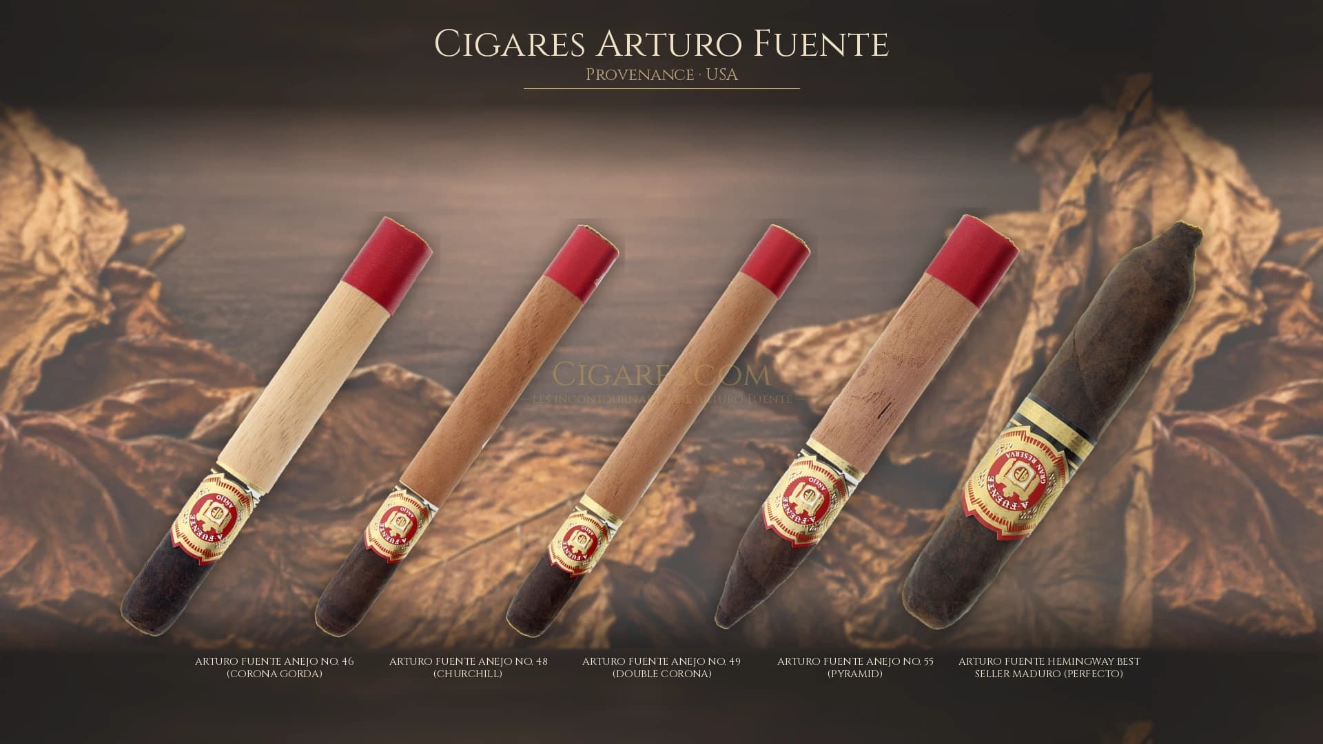 Top cigares Arturo Fuente Usa — les plus populaires
