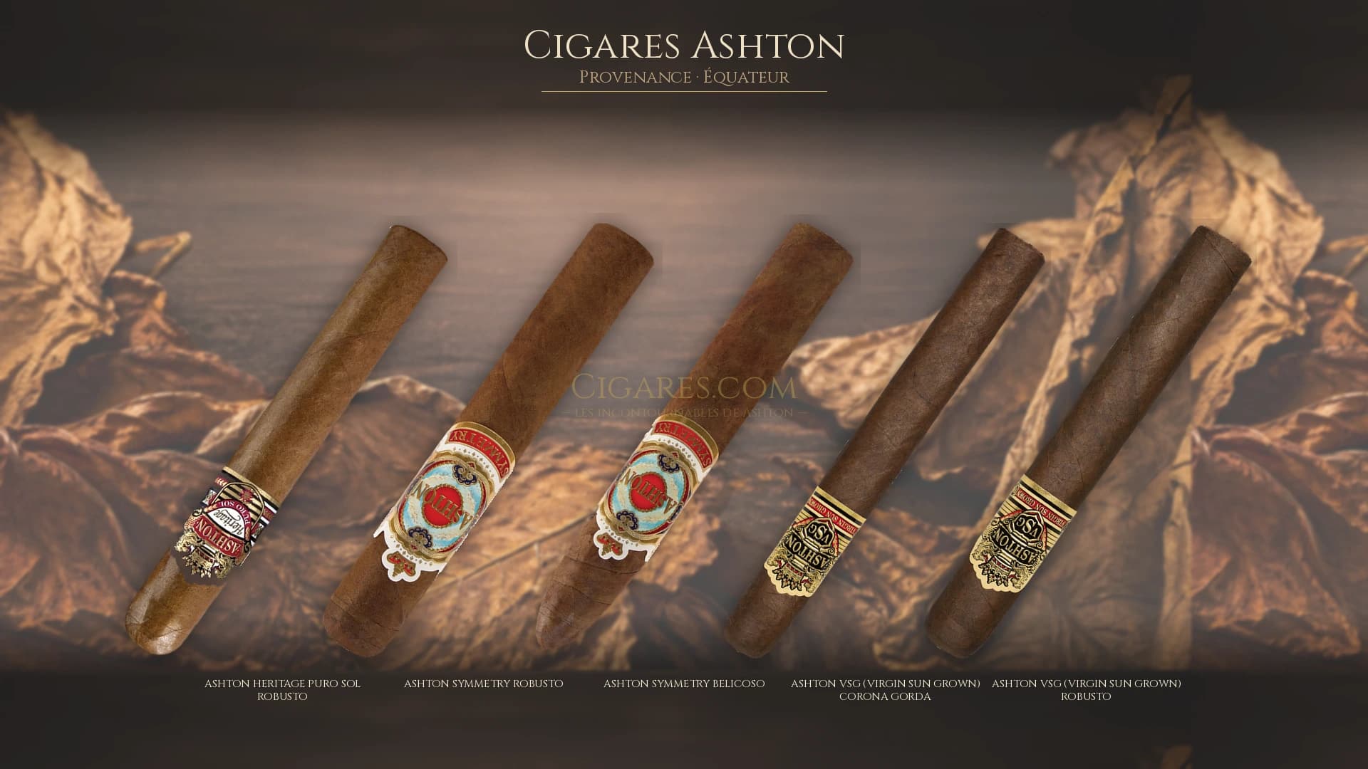 Top cigares Ashton Equateur — les plus populaires