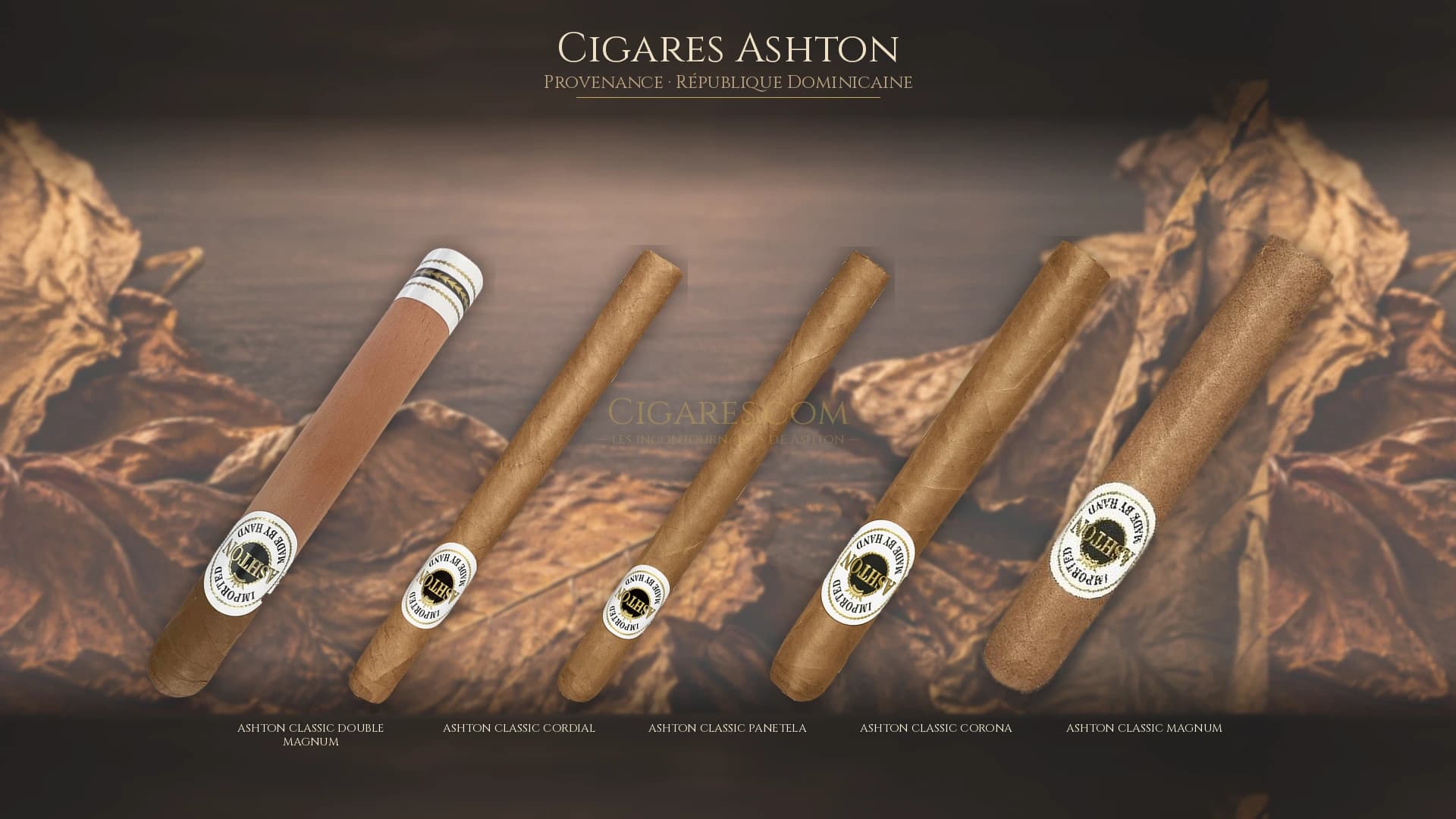Top cigares Ashton Republique Dominicaine — les plus populaires