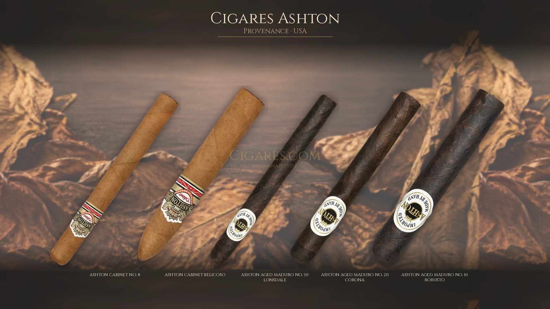 Top cigares Ashton Usa — les plus populaires