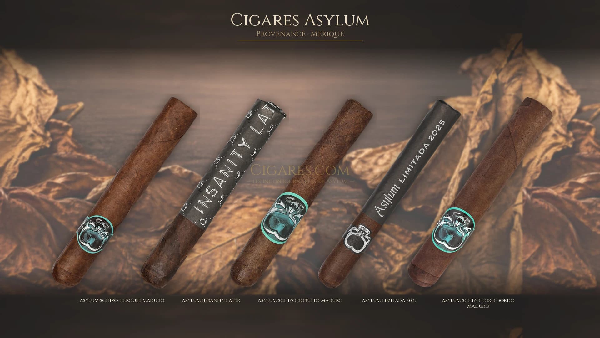 Top cigares Asylum Mexique — les plus populaires