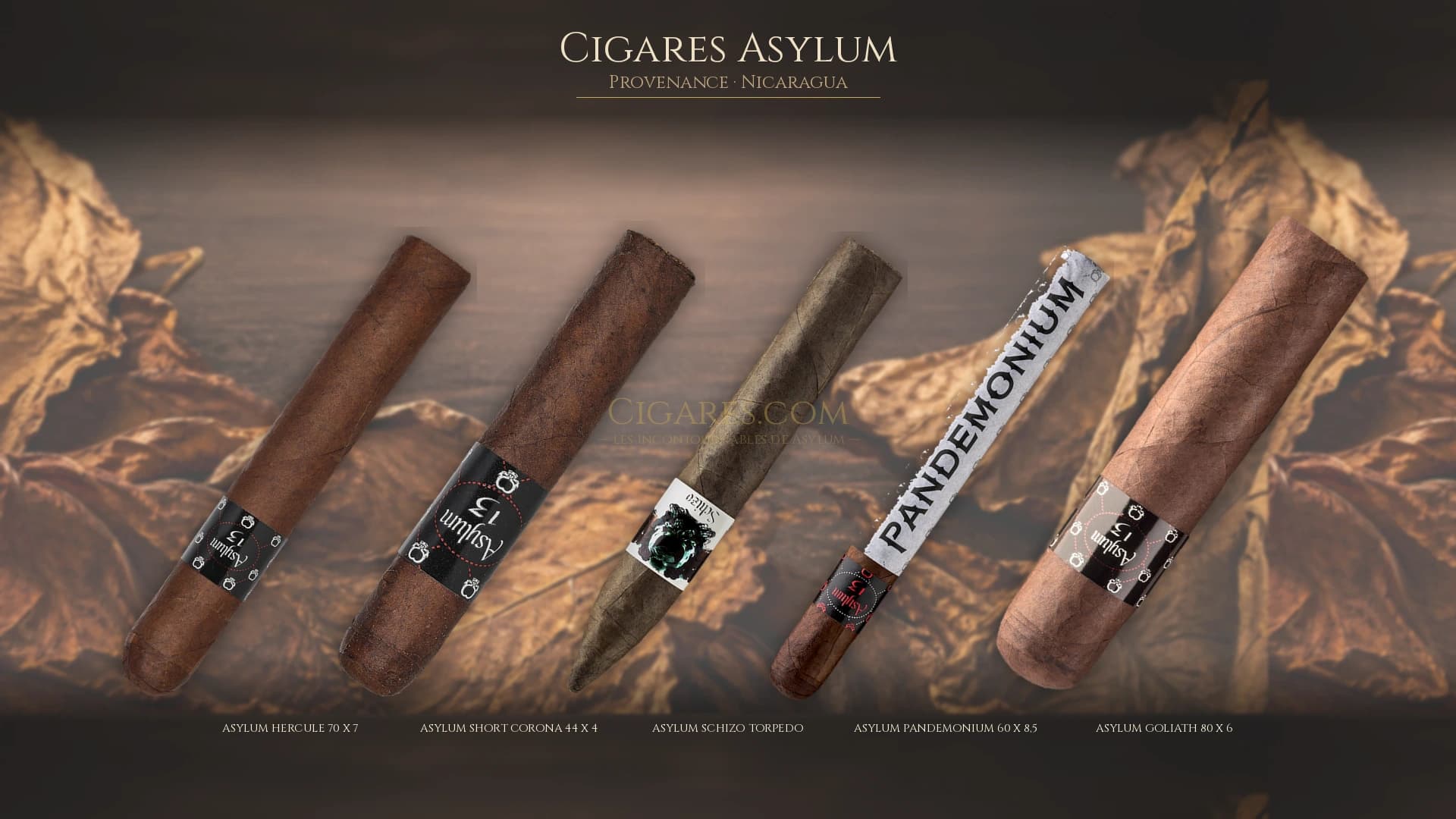 Top cigares Asylum Nicaragua — les plus populaires