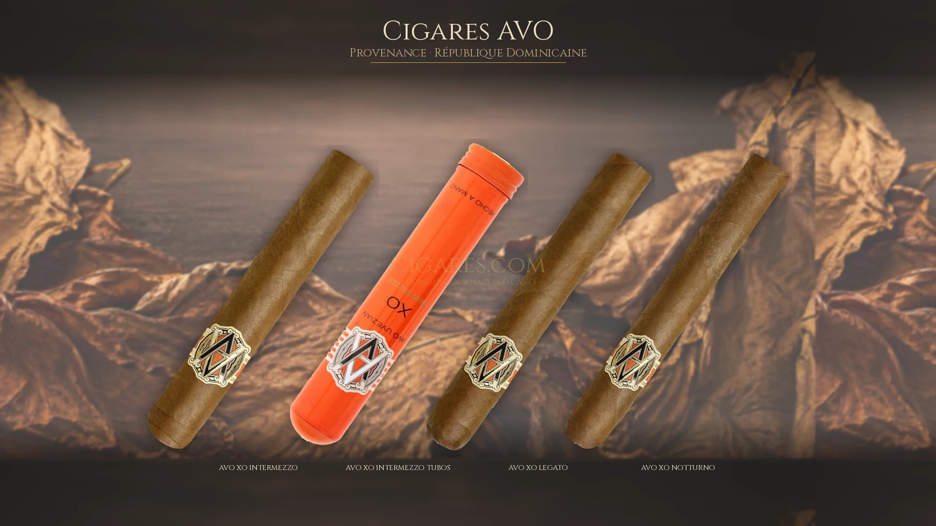 Top cigares AVO Republique Dominicaine — les plus populaires