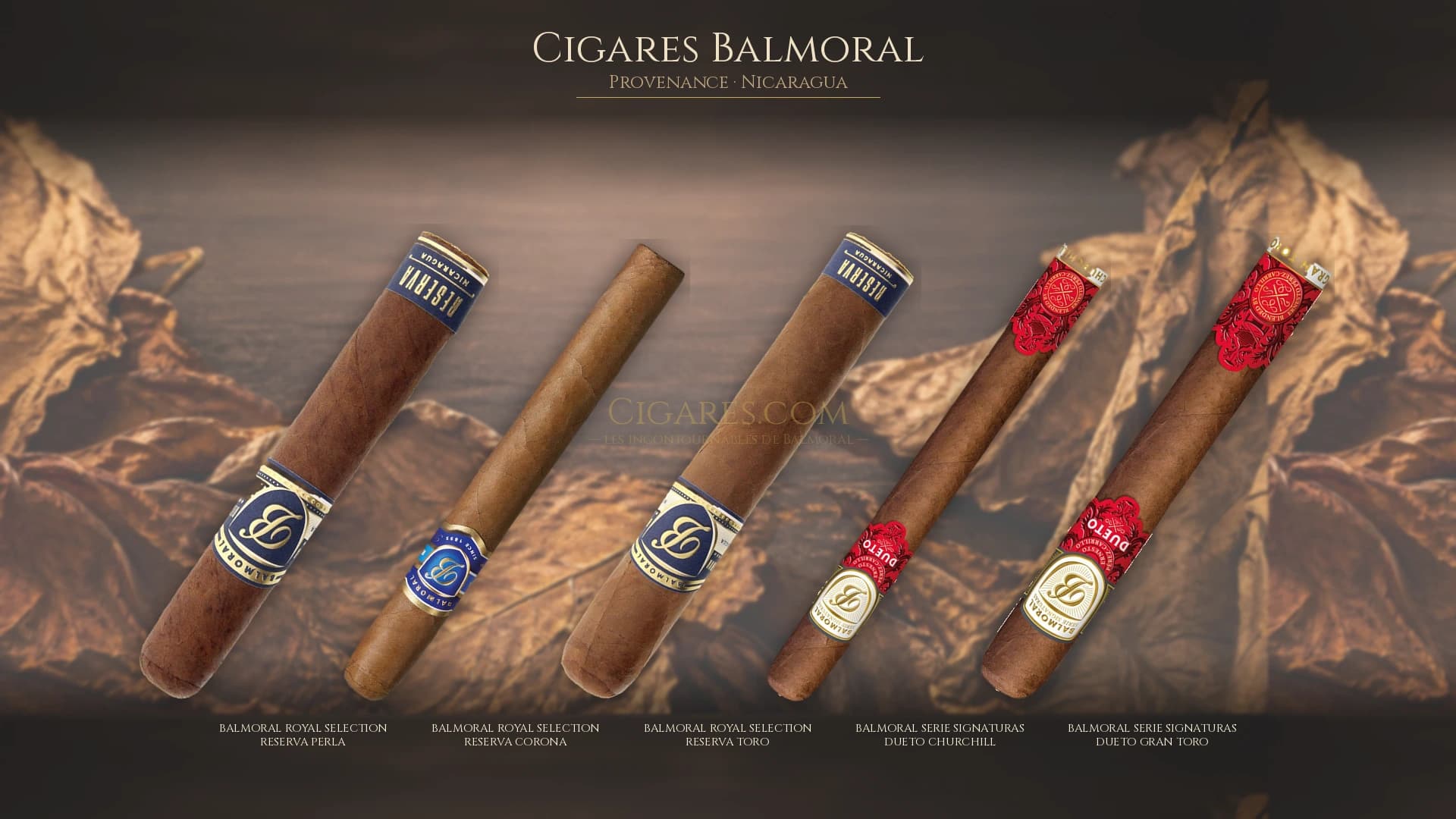Top cigares Balmoral Nicaragua — les plus populaires