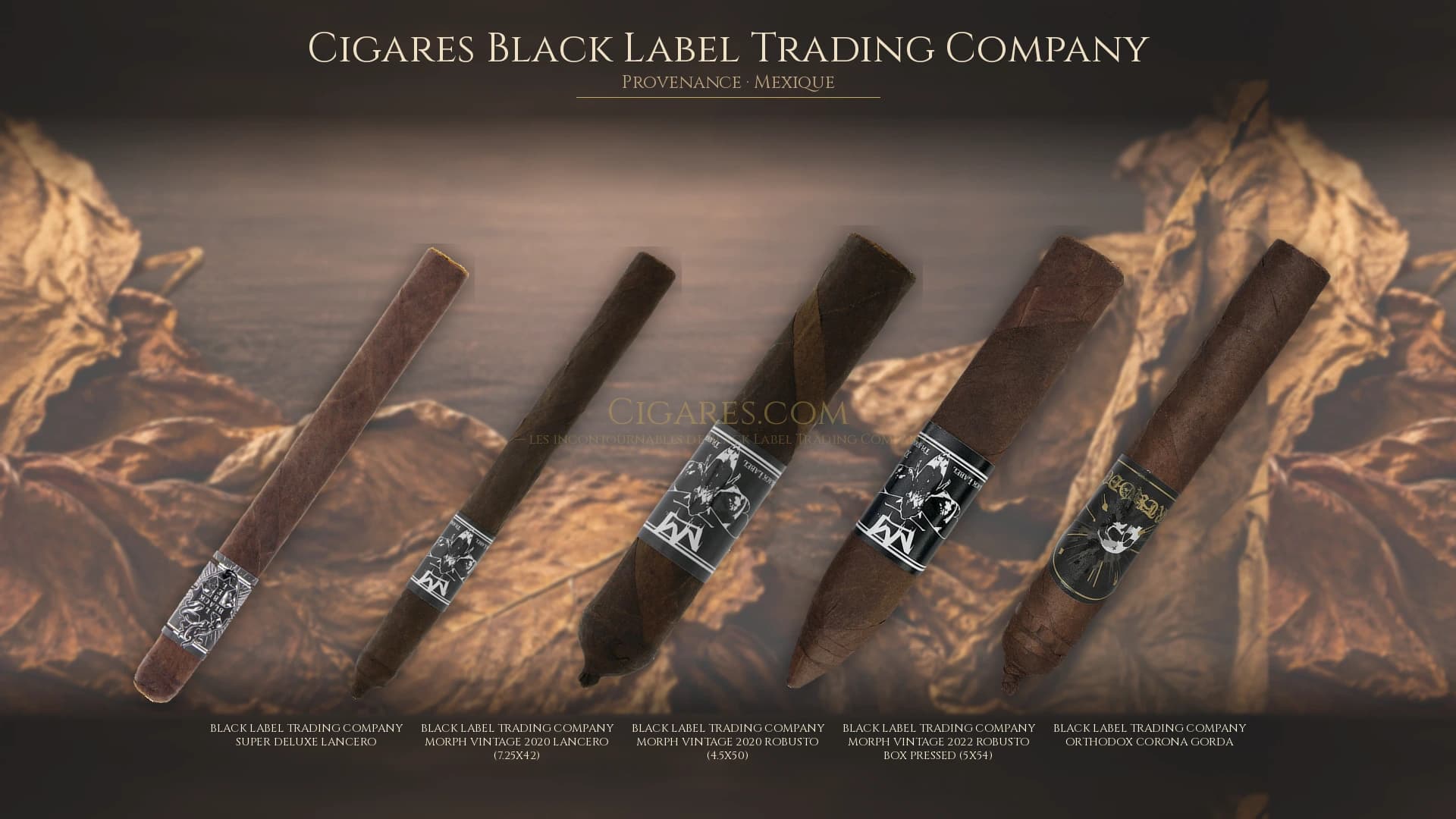 Top cigares Black Label Trading Company Mexique — les plus populaires