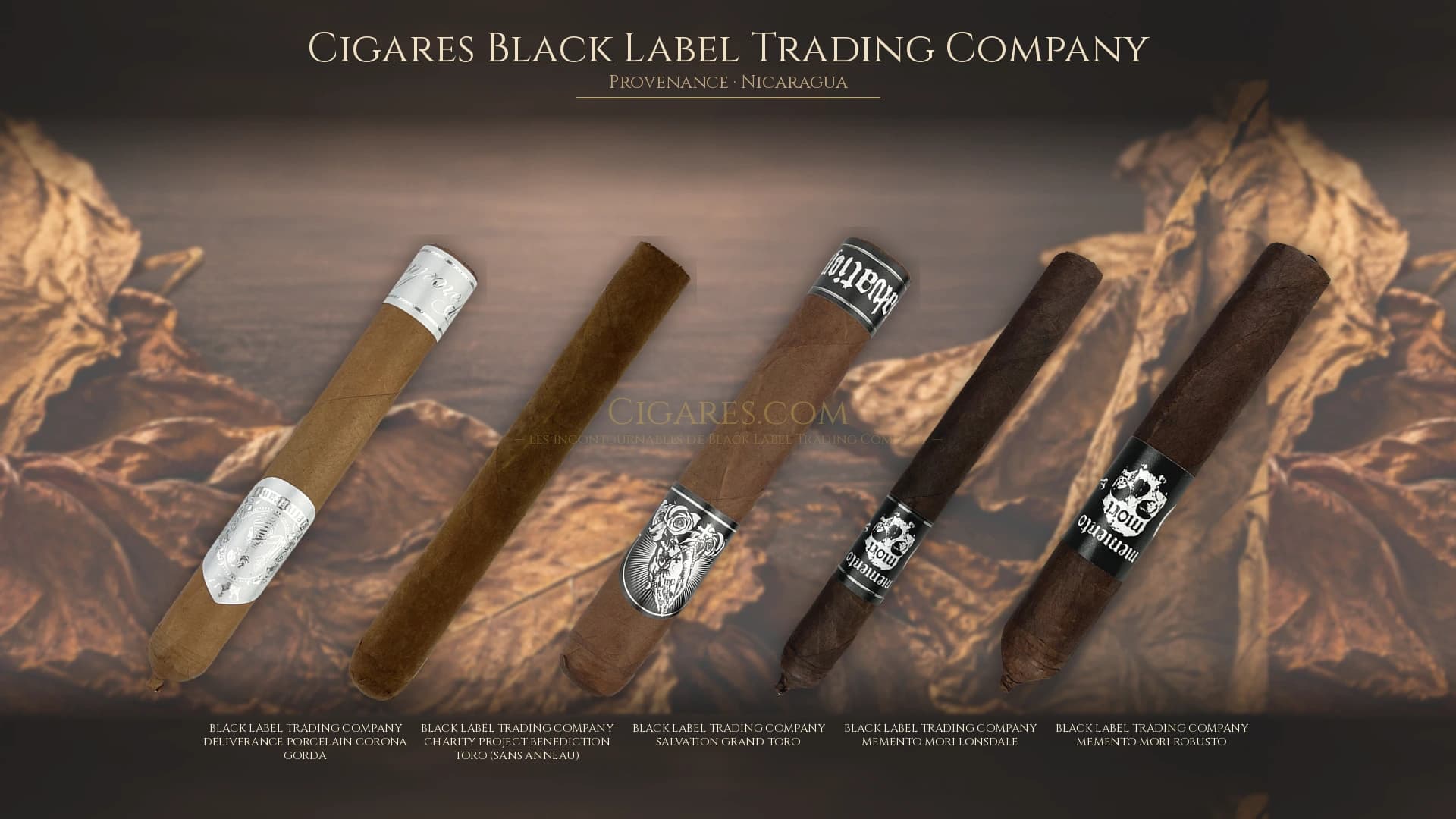 Top cigares Black Label Trading Company Nicaragua — les plus populaires