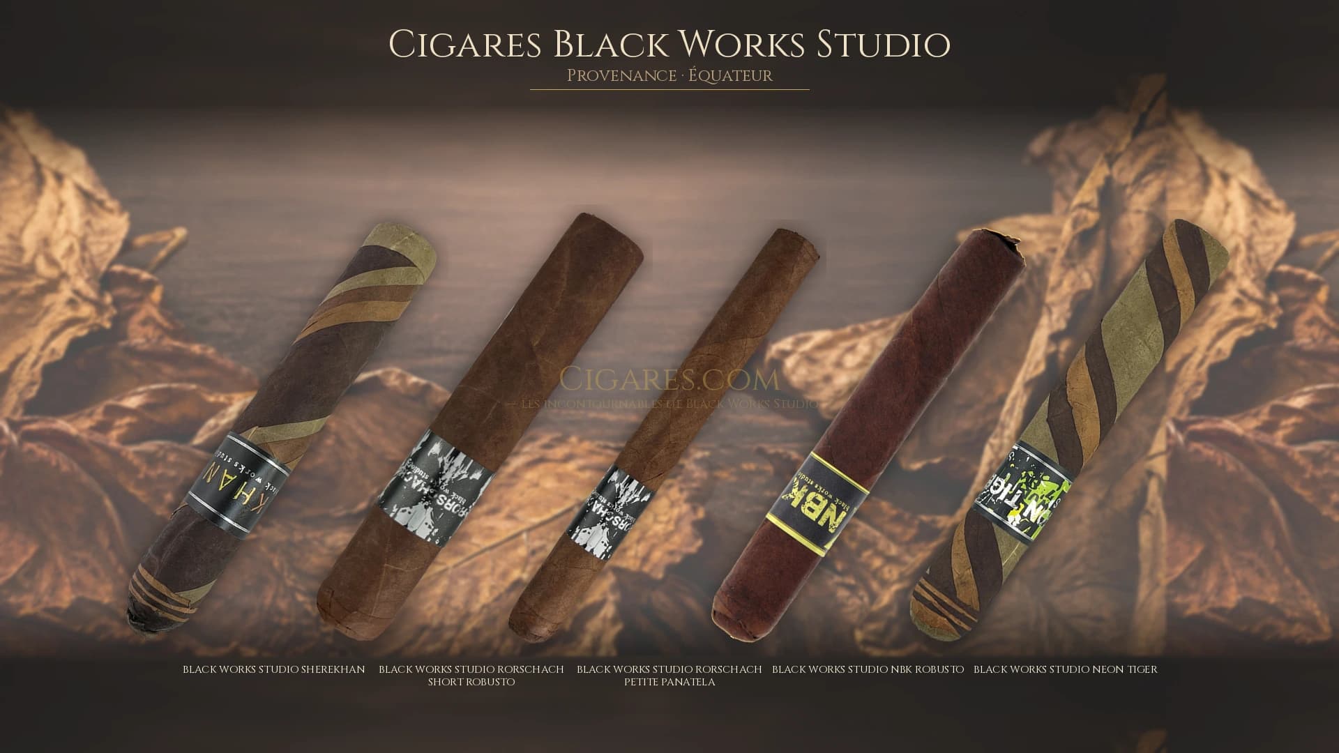 Top cigares Black Works Studio Equateur — les plus populaires