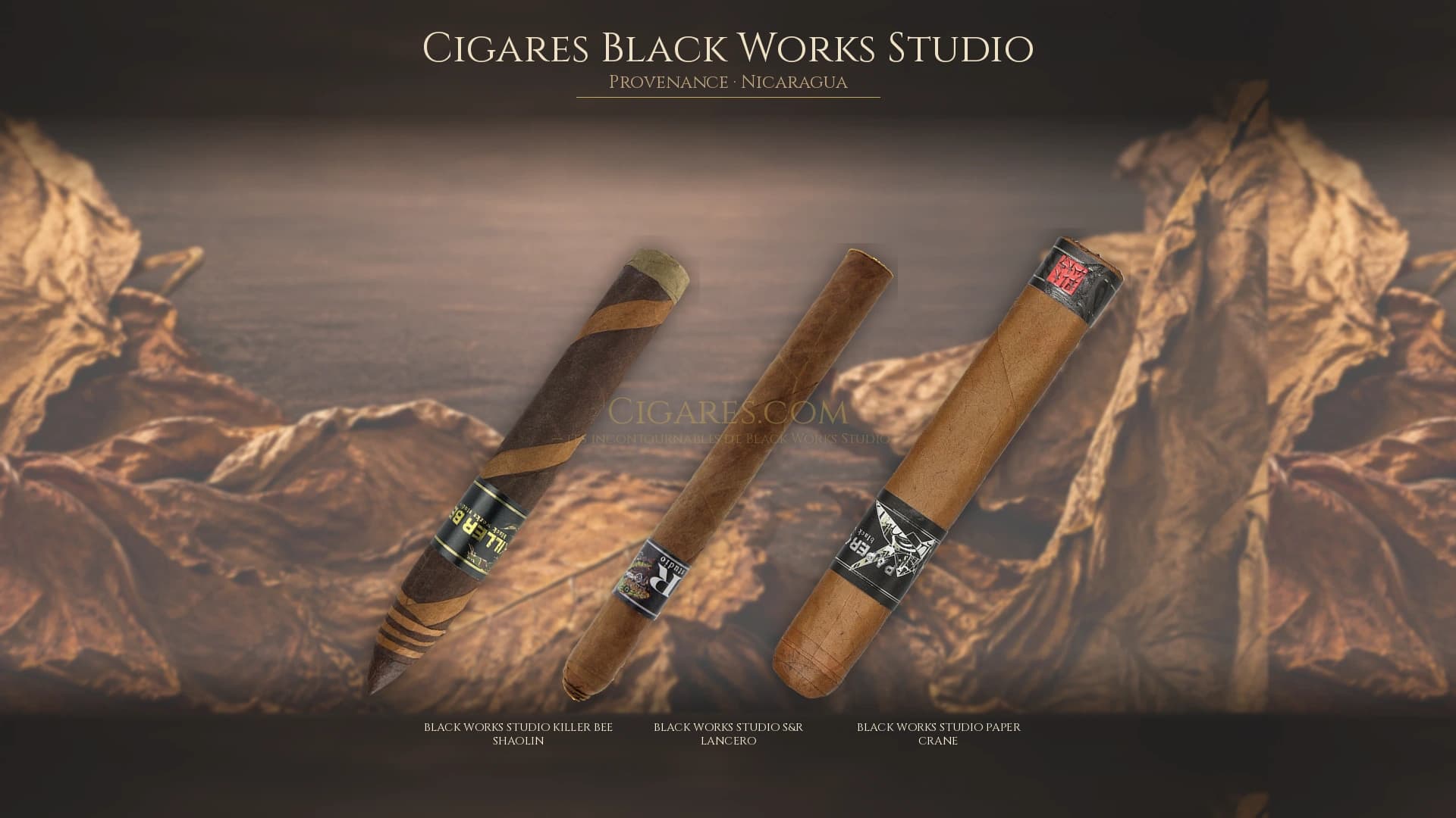 Top cigares Black Works Studio Nicaragua — les plus populaires