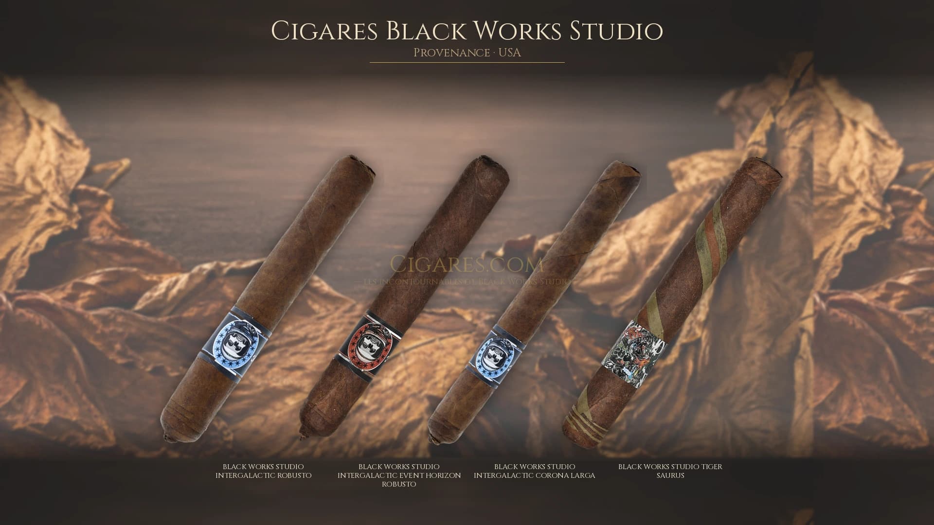 Top cigares Black Works Studio Usa — les plus populaires