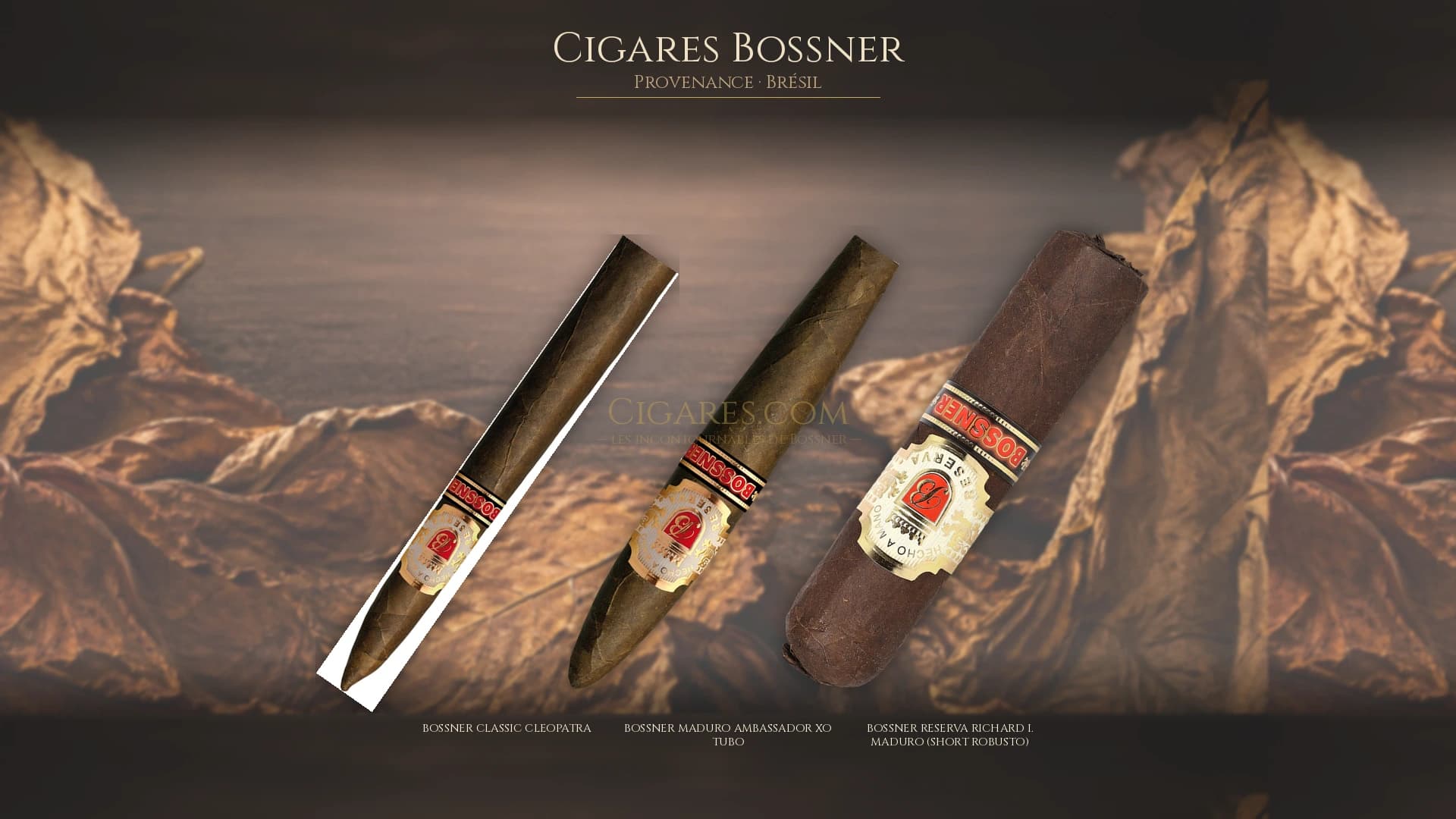 Top cigares Bossner Bresil — les plus populaires