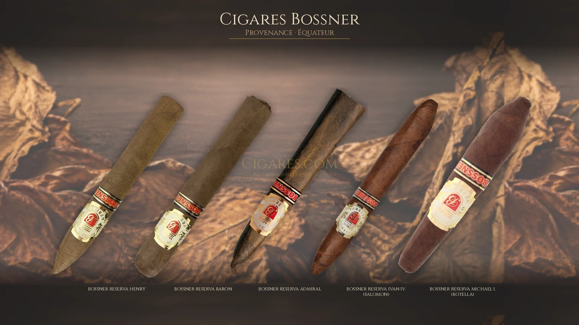 Top cigares Bossner Equateur — les plus populaires
