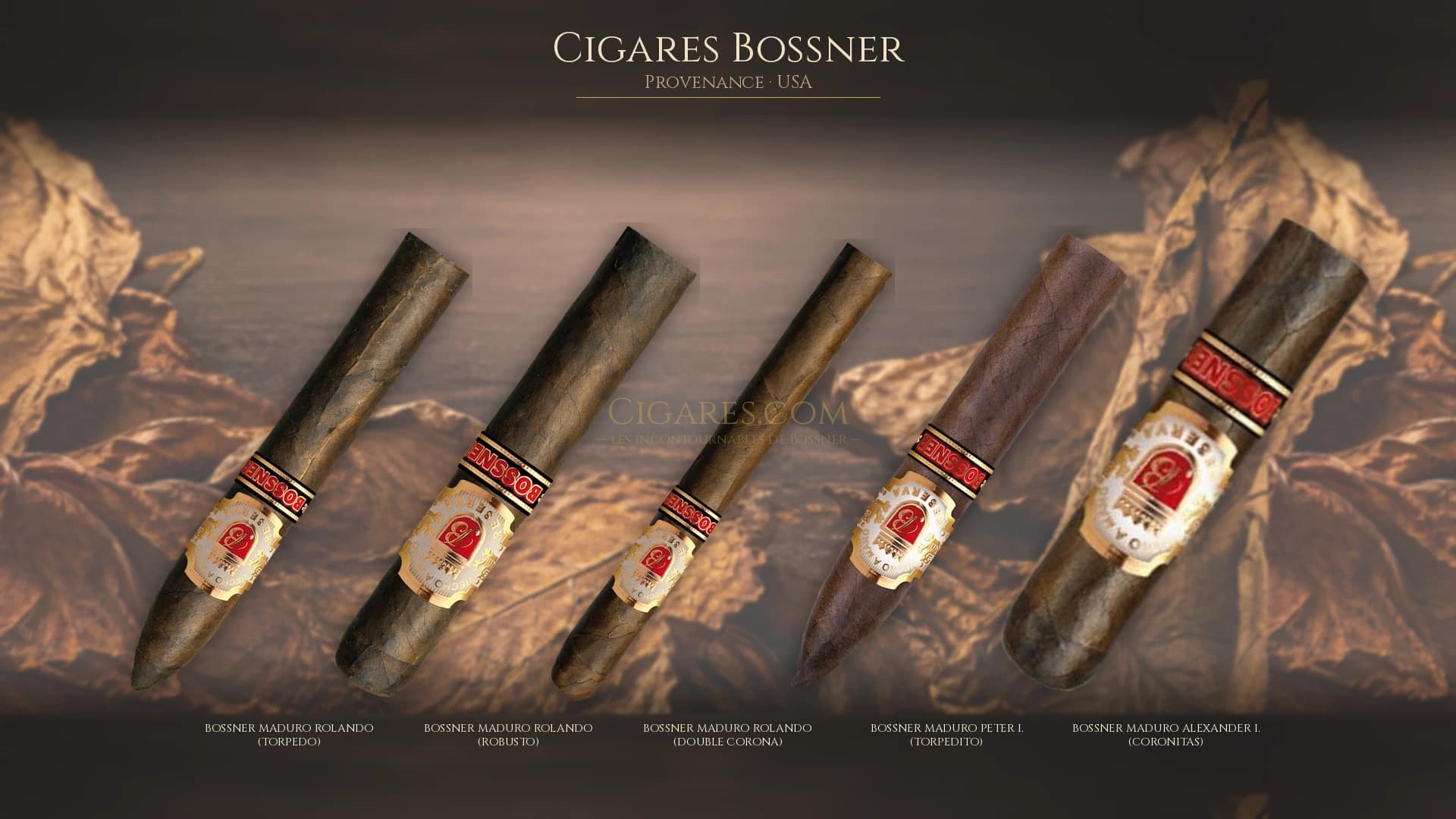 Top cigares Bossner Usa — les plus populaires