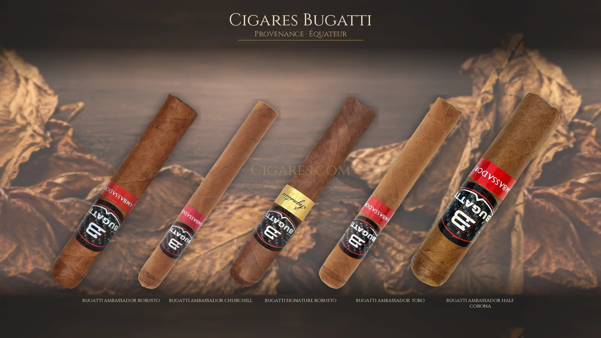 Top cigares Bugatti Equateur — les plus populaires