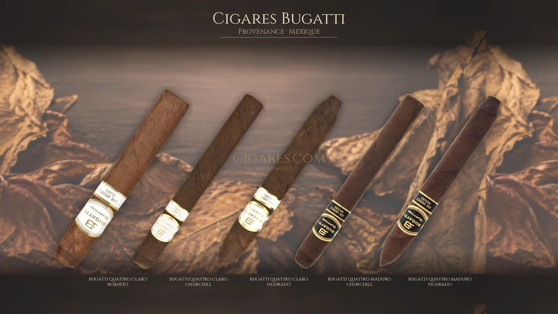 Top cigares Bugatti Mexique — les plus populaires